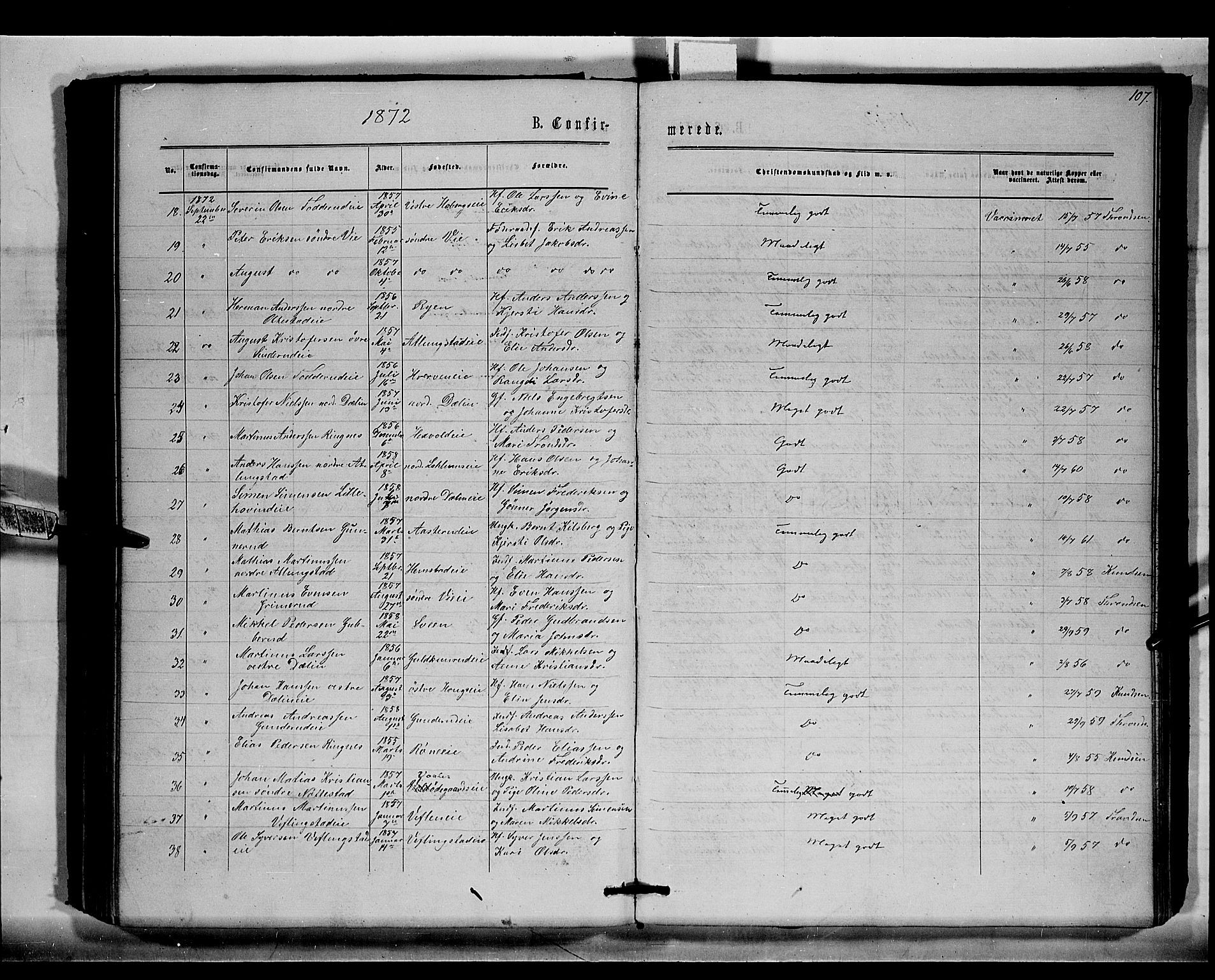 Stange prestekontor, SAH/PREST-002/K/L0015: Parish register (official) no. 15, 1862-1879, p. 107