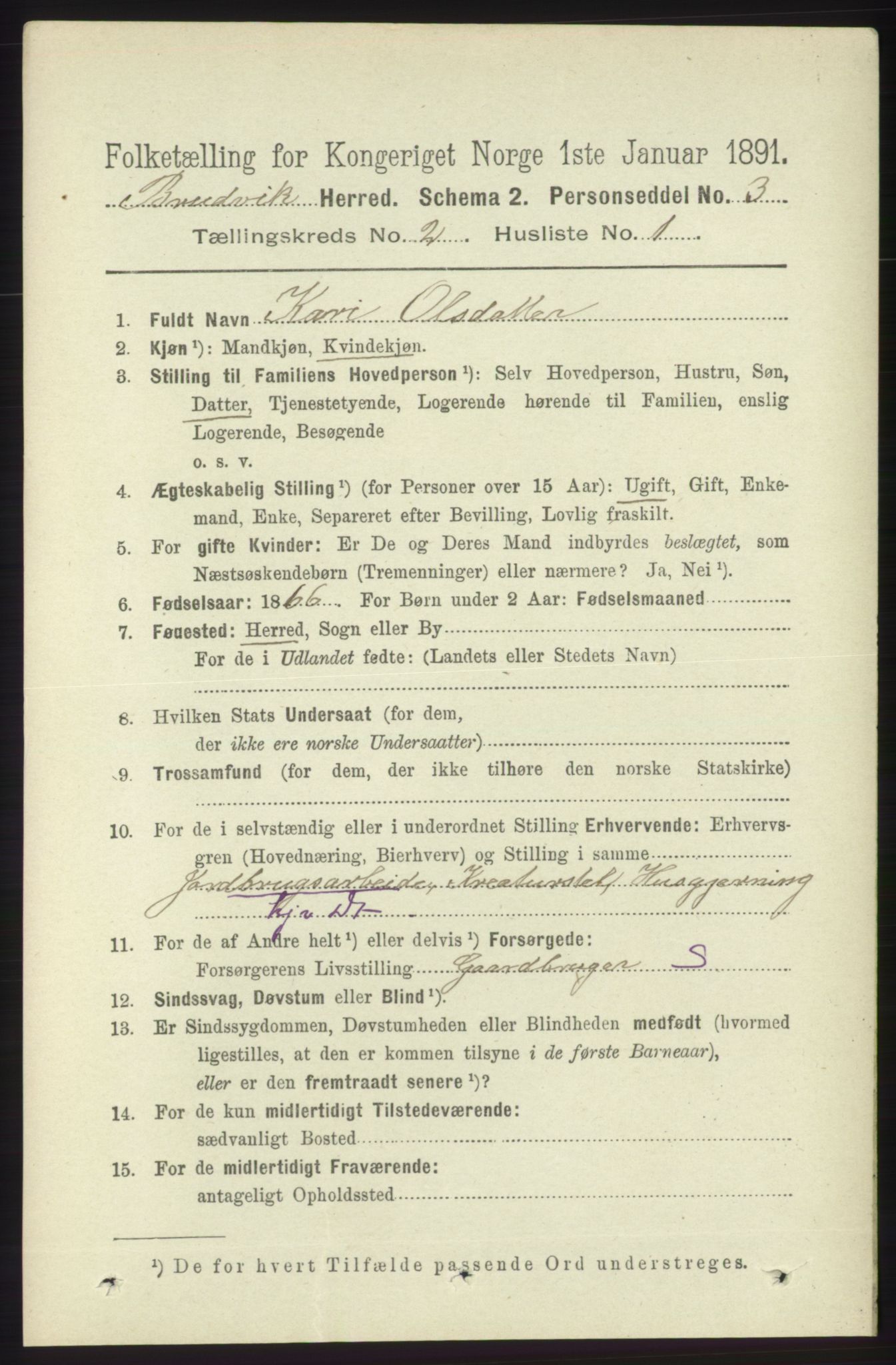 RA, 1891 census for 1251 Bruvik, 1891, p. 435