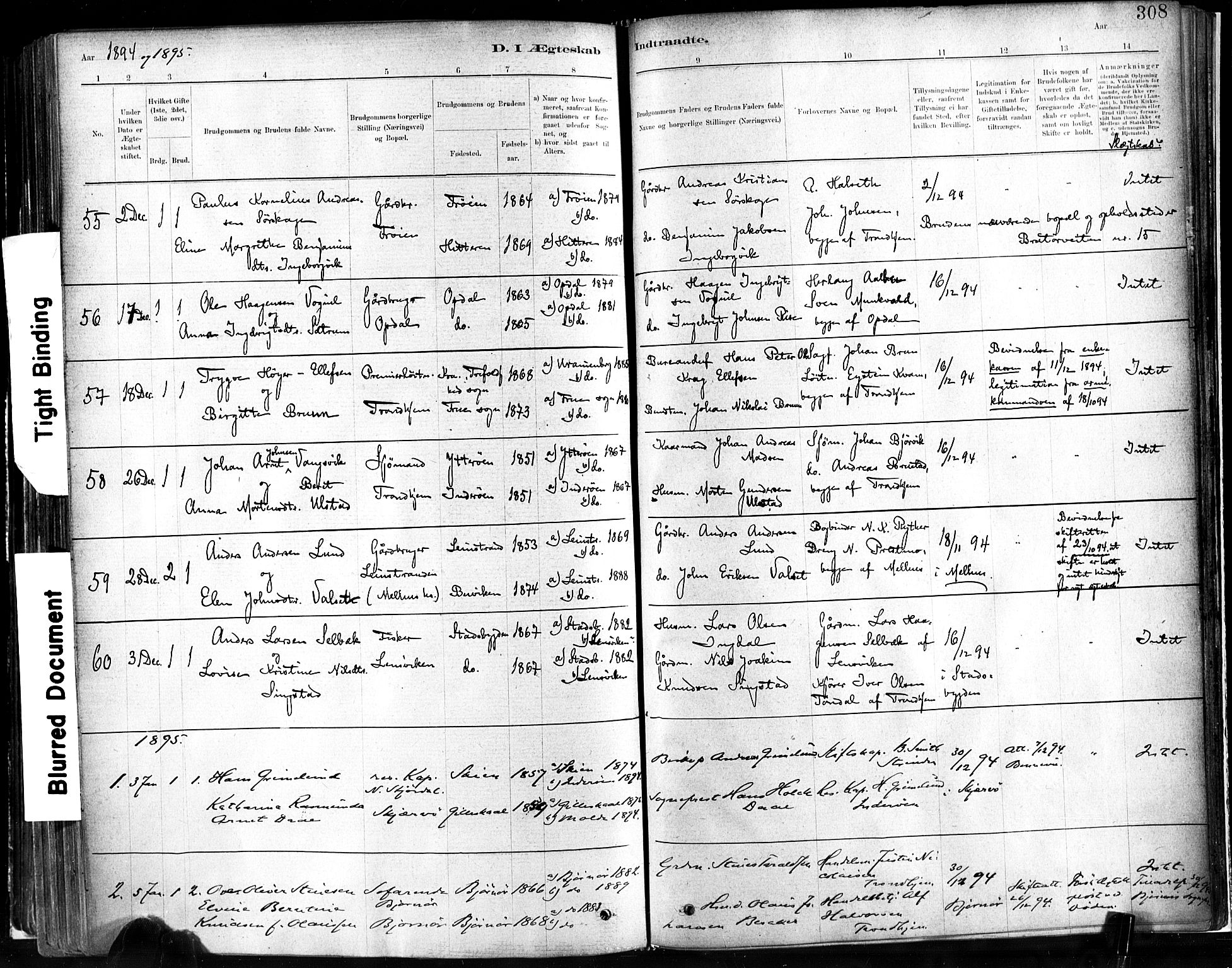 Ministerialprotokoller, klokkerbøker og fødselsregistre - Sør-Trøndelag, SAT/A-1456/602/L0119: Parish register (official) no. 602A17, 1880-1901, p. 308
