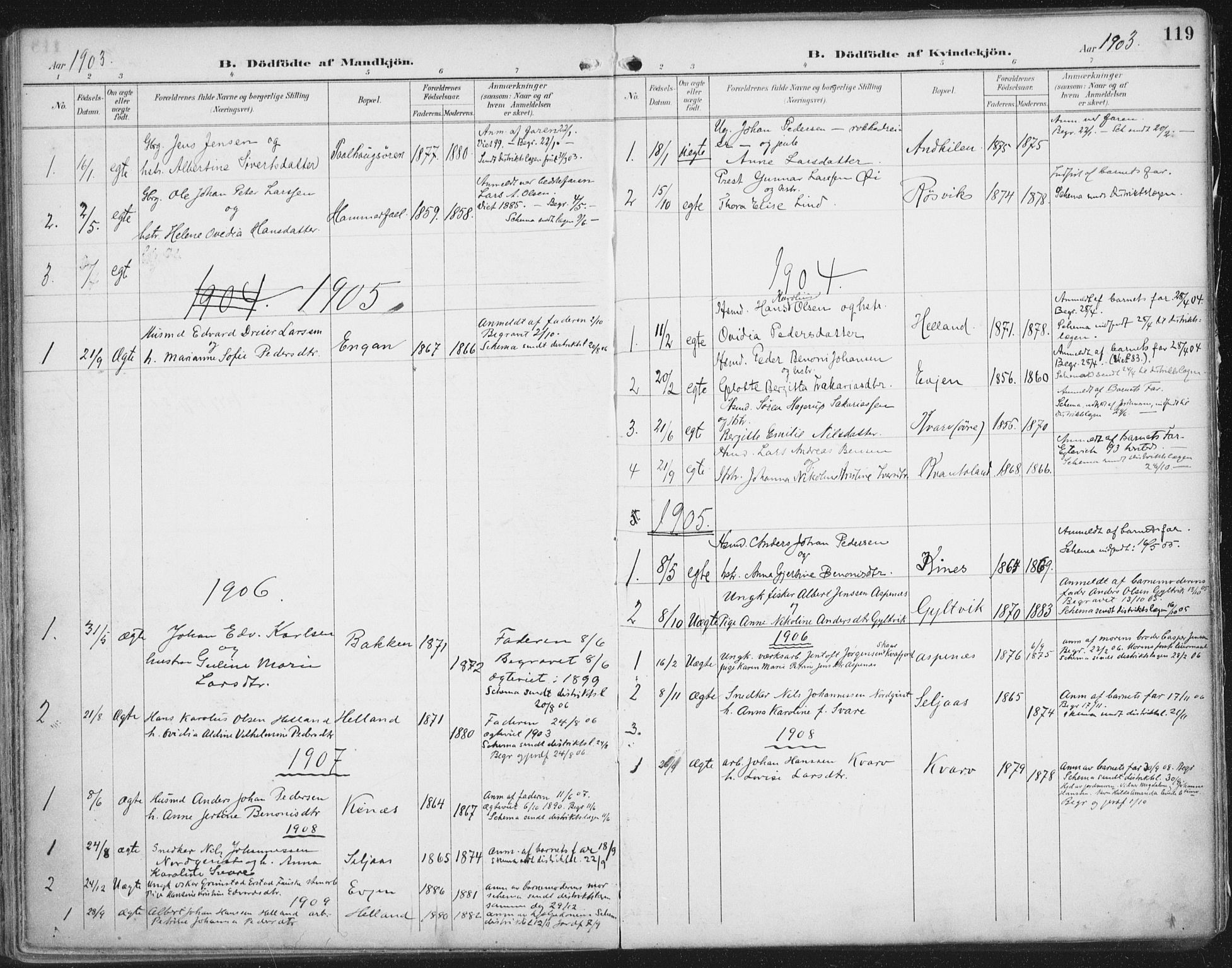 Ministerialprotokoller, klokkerbøker og fødselsregistre - Nordland, SAT/A-1459/854/L0779: Parish register (official) no. 854A02, 1892-1909, p. 119