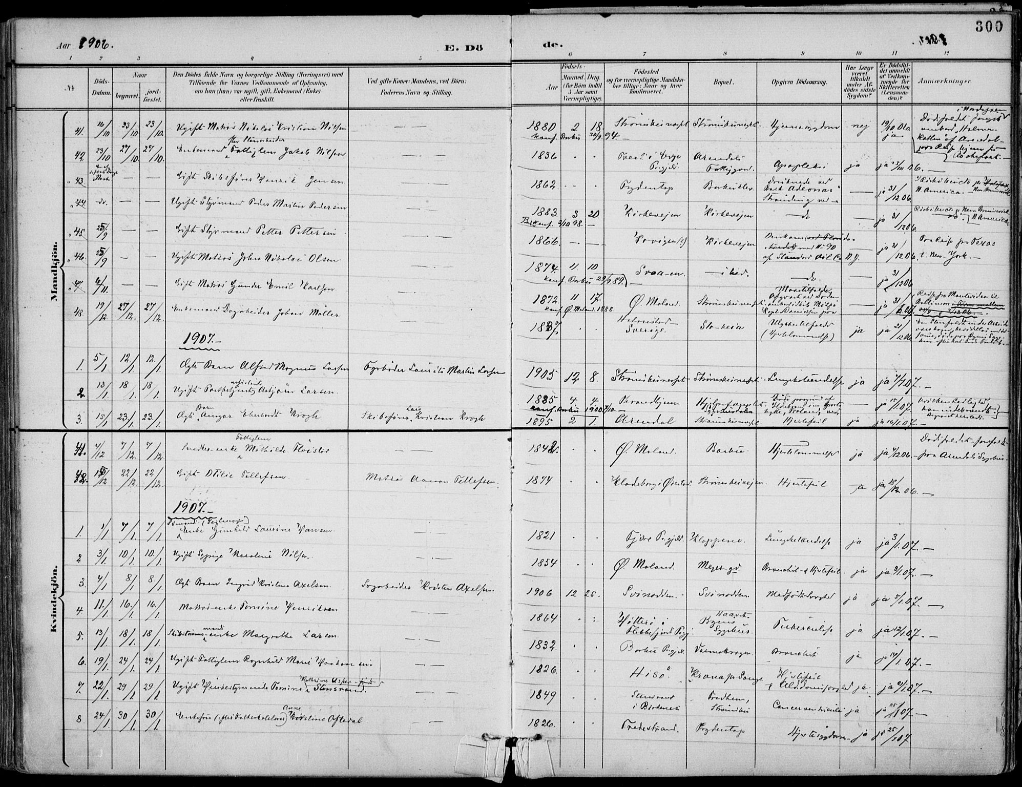 Barbu sokneprestkontor, AV/SAK-1111-0003/F/Fa/L0005: Parish register (official) no. A 5, 1899-1909, p. 300