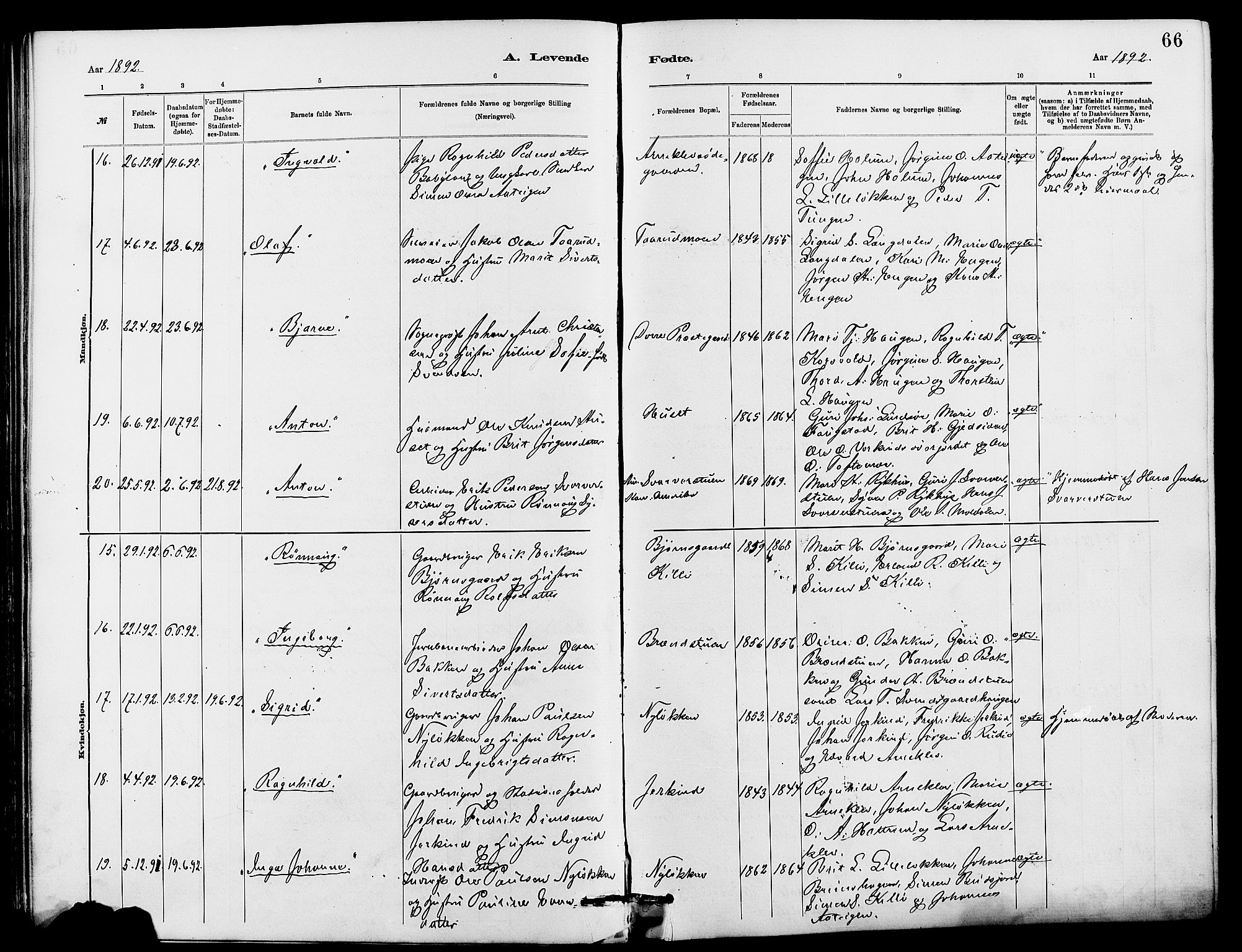 Dovre prestekontor, AV/SAH-PREST-066/H/Ha/Hab/L0002: Parish register (copy) no. 2, 1881-1907, p. 66