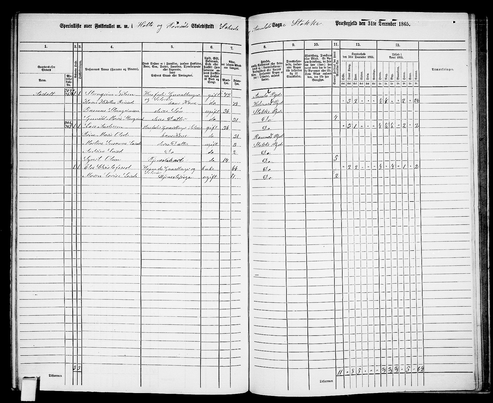 RA, 1865 census for Stokke, 1865, p. 175