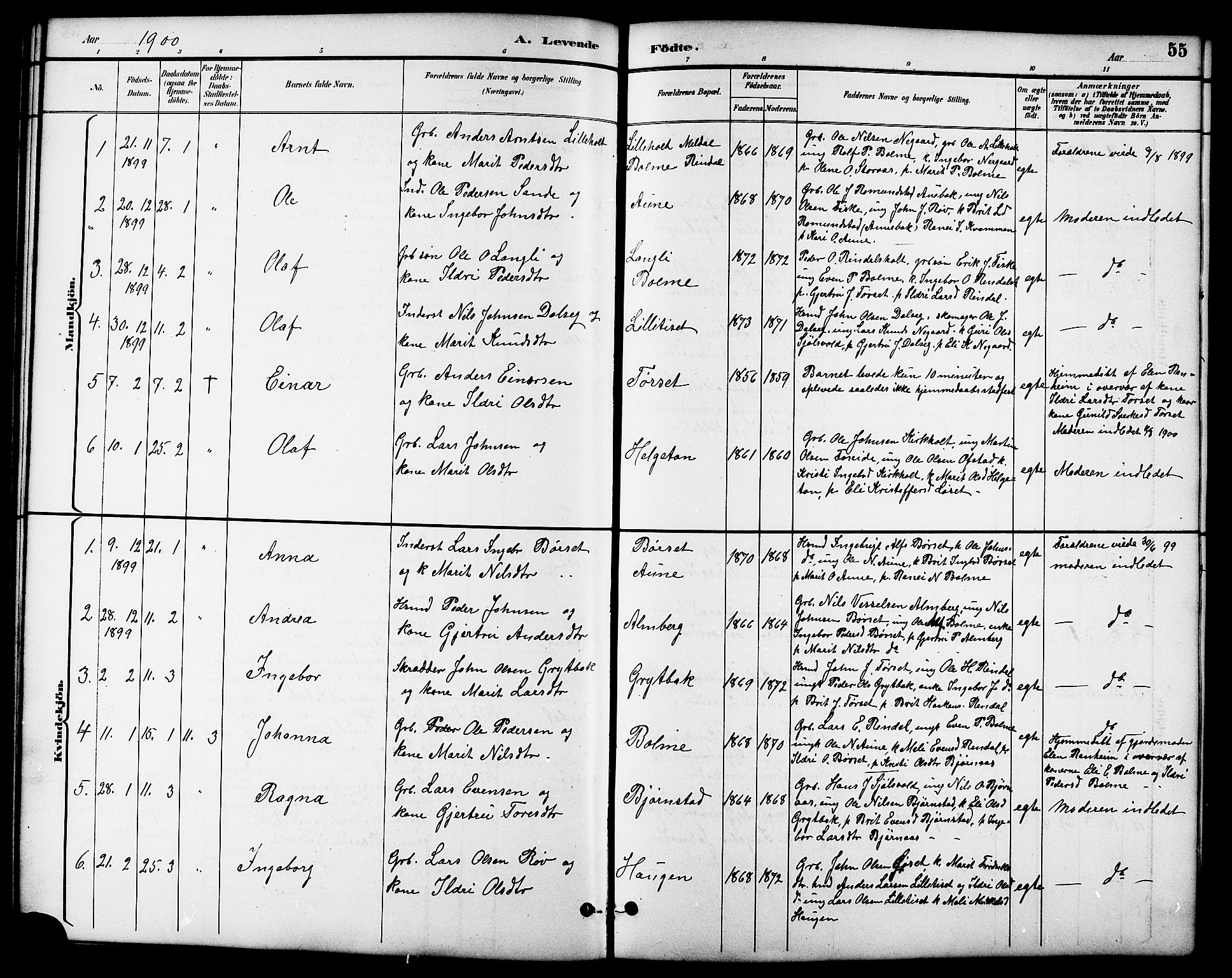 Ministerialprotokoller, klokkerbøker og fødselsregistre - Møre og Romsdal, SAT/A-1454/598/L1078: Parish register (copy) no. 598C03, 1892-1909, p. 55
