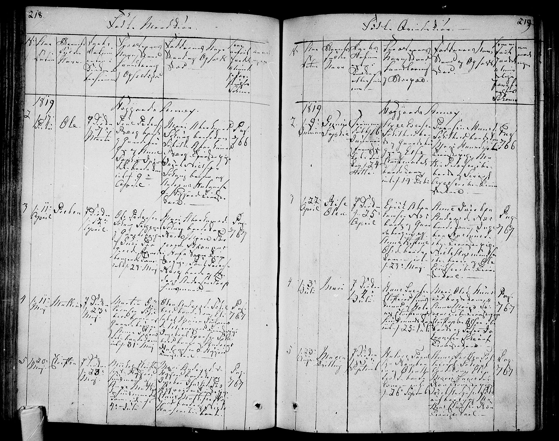 Andebu kirkebøker, AV/SAKO-A-336/F/Fa/L0003: Parish register (official) no. 3 /2, 1815-1828, p. 218-219