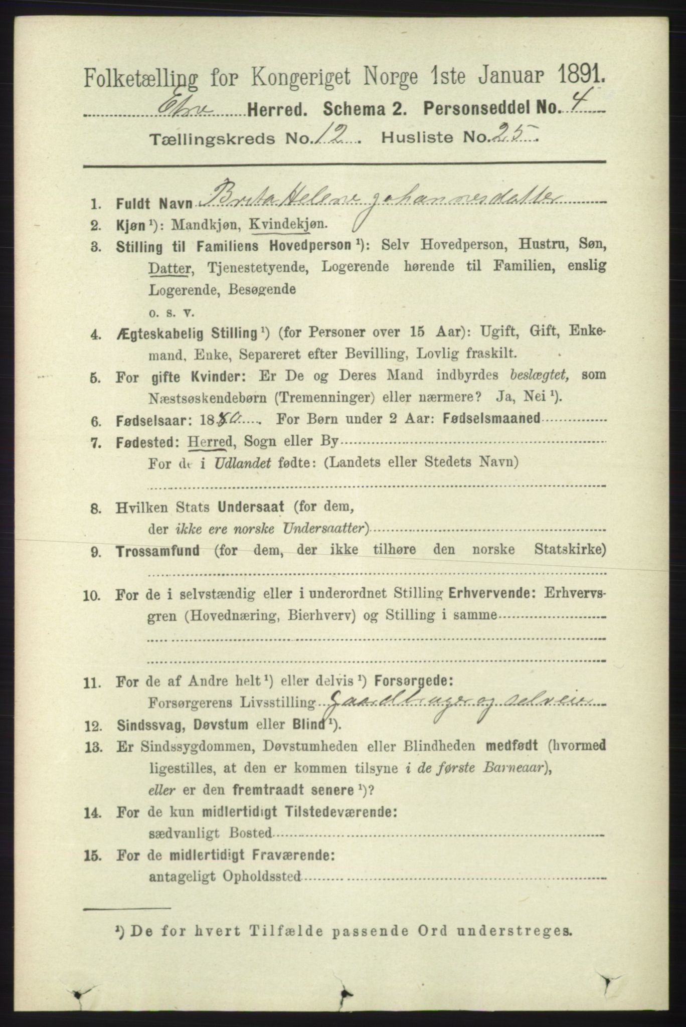 RA, 1891 census for 1211 Etne, 1891, p. 2682