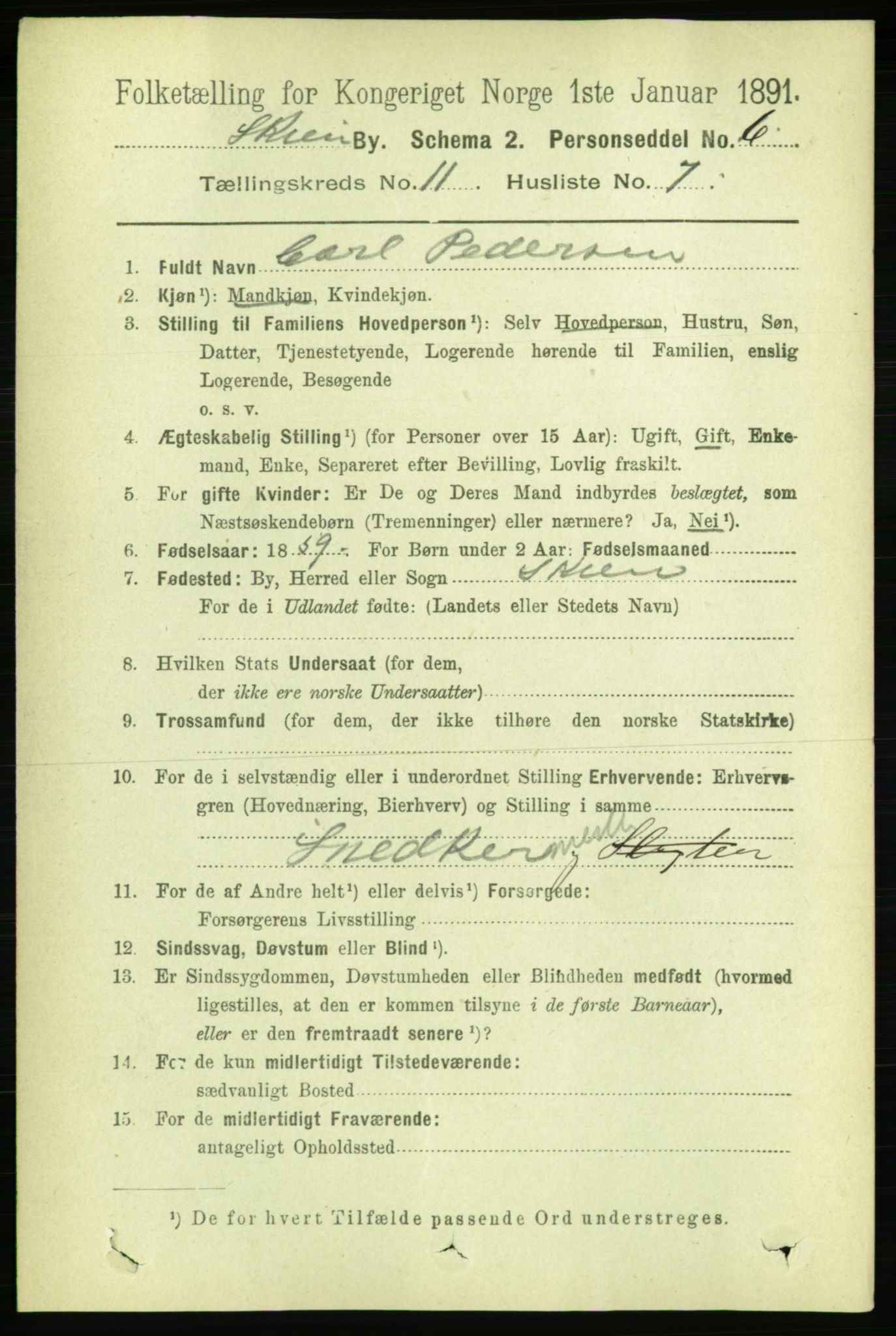 RA, 1891 census for 0806 Skien, 1891, p. 3950