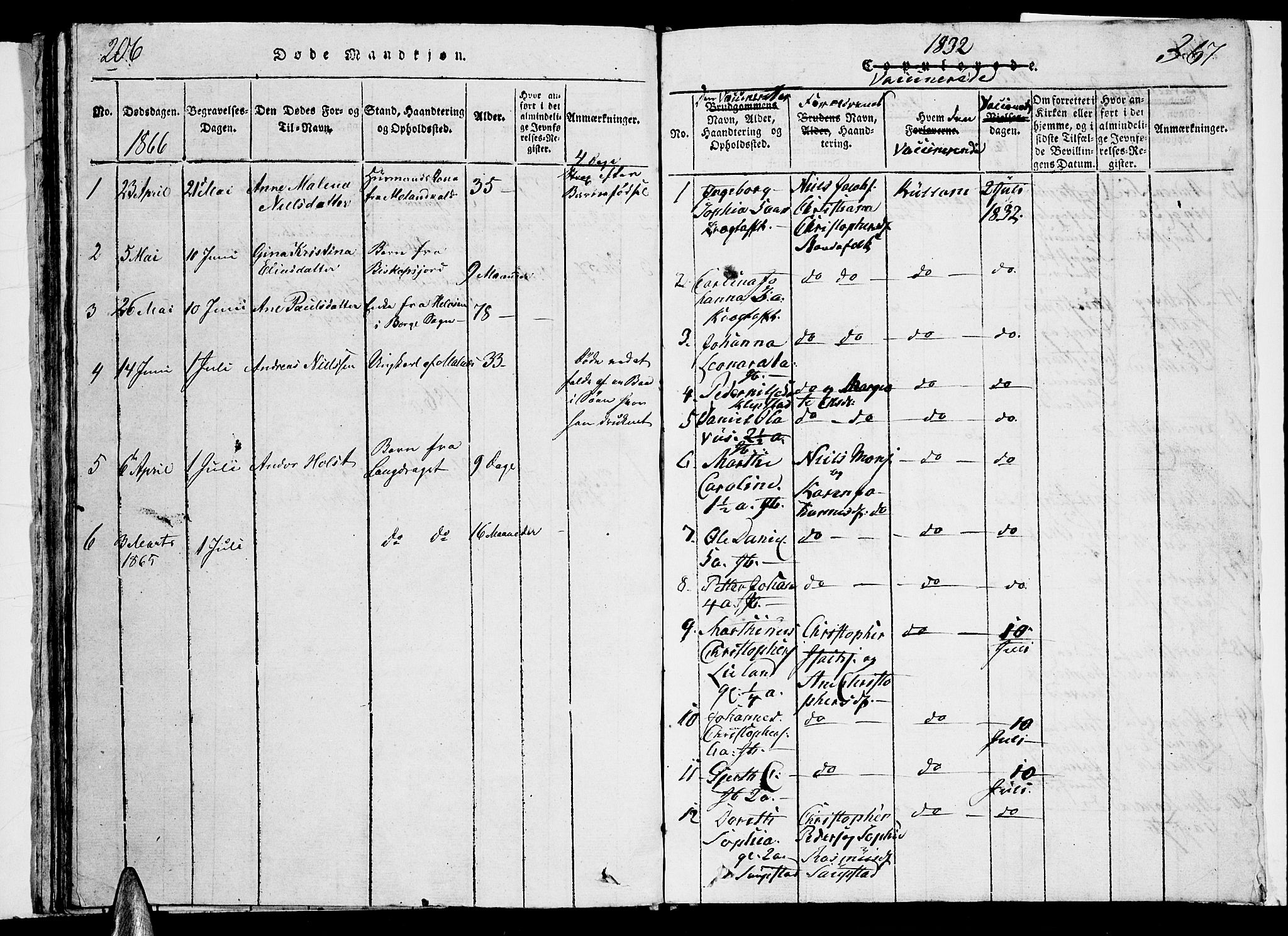 Ministerialprotokoller, klokkerbøker og fødselsregistre - Nordland, SAT/A-1459/884/L1195: Parish register (copy) no. 884C01, 1837-1867, p. 206-207