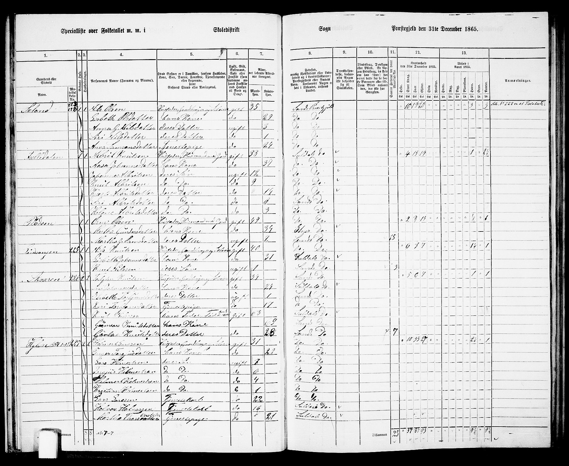 RA, 1865 census for Sand, 1865, p. 27