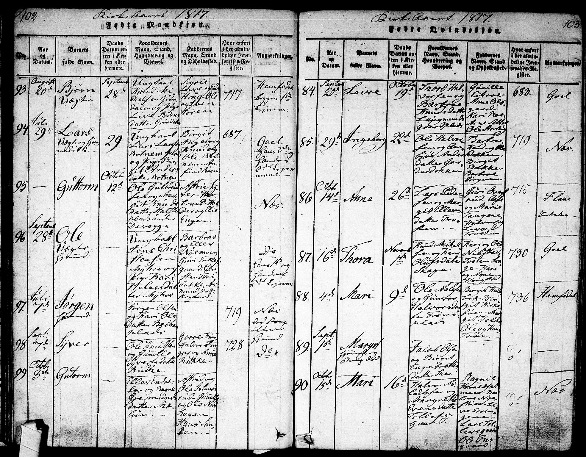 Nes kirkebøker, SAKO/A-236/F/Fa/L0007: Parish register (official) no. 7, 1815-1823, p. 102-103