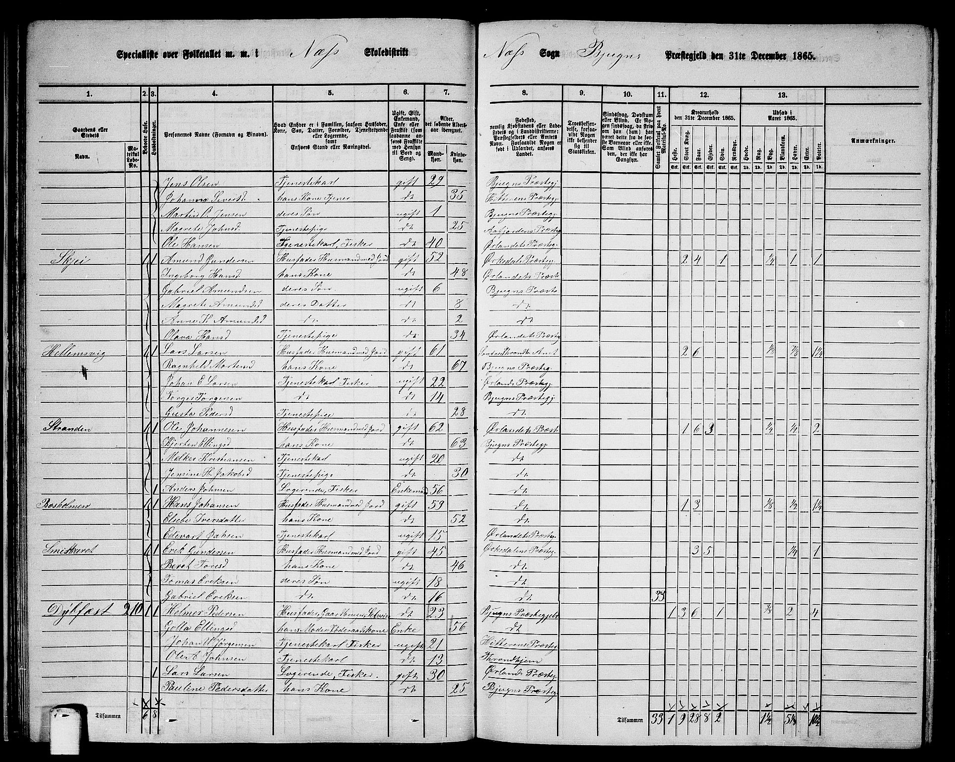 RA, 1865 census for Bjugn, 1865, p. 31