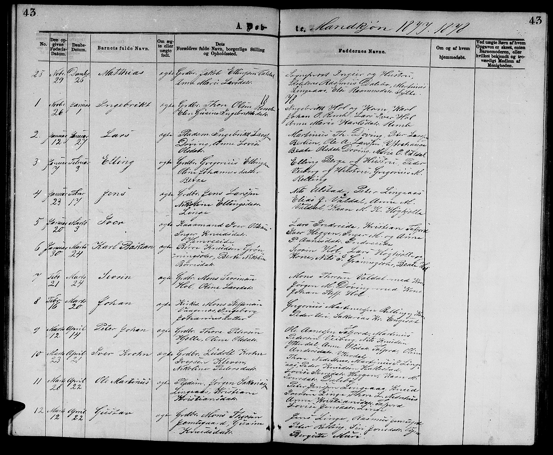 Ministerialprotokoller, klokkerbøker og fødselsregistre - Møre og Romsdal, SAT/A-1454/519/L0262: Parish register (copy) no. 519C03, 1866-1884, p. 43