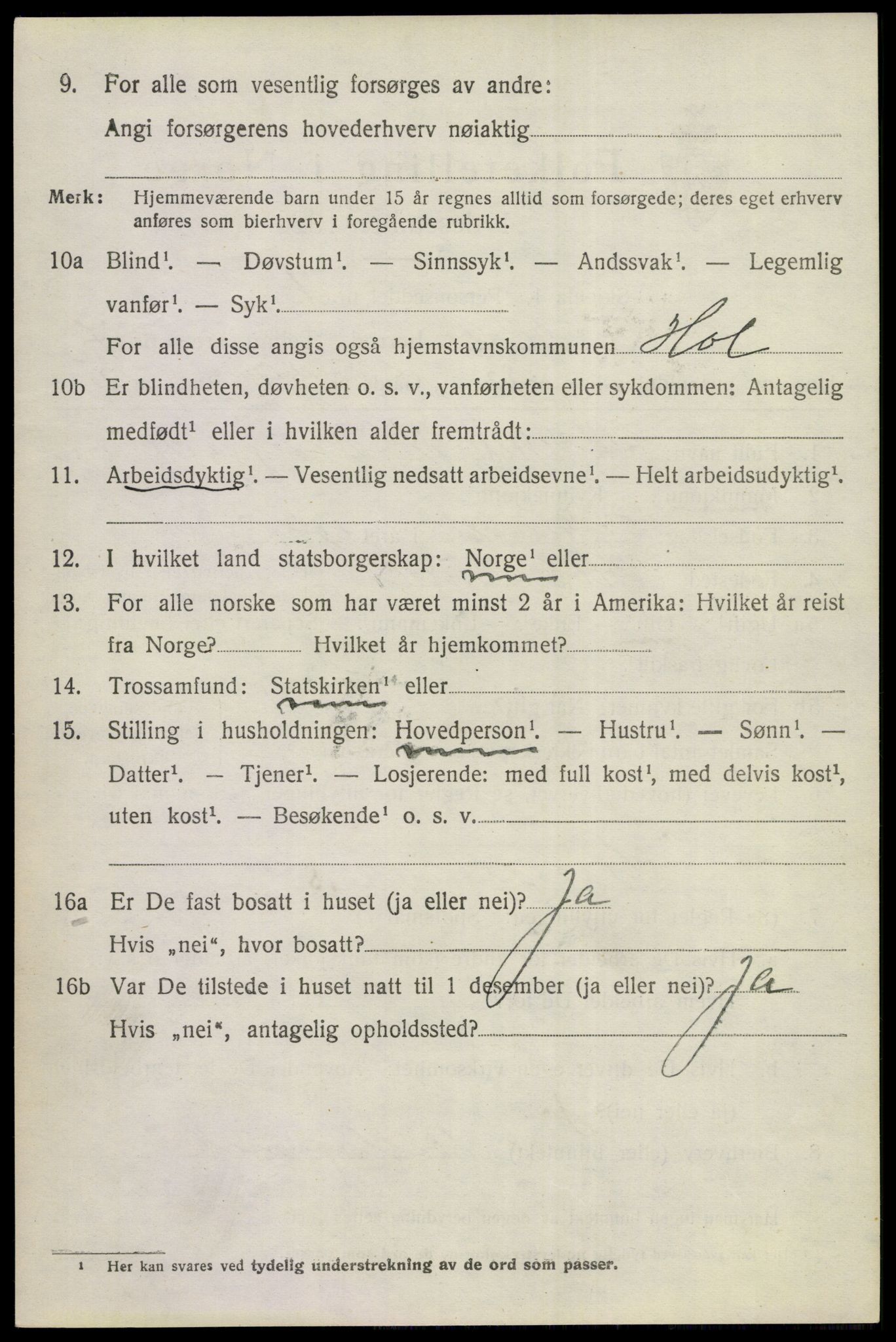 SAKO, 1920 census for Hol (Buskerud), 1920, p. 3788