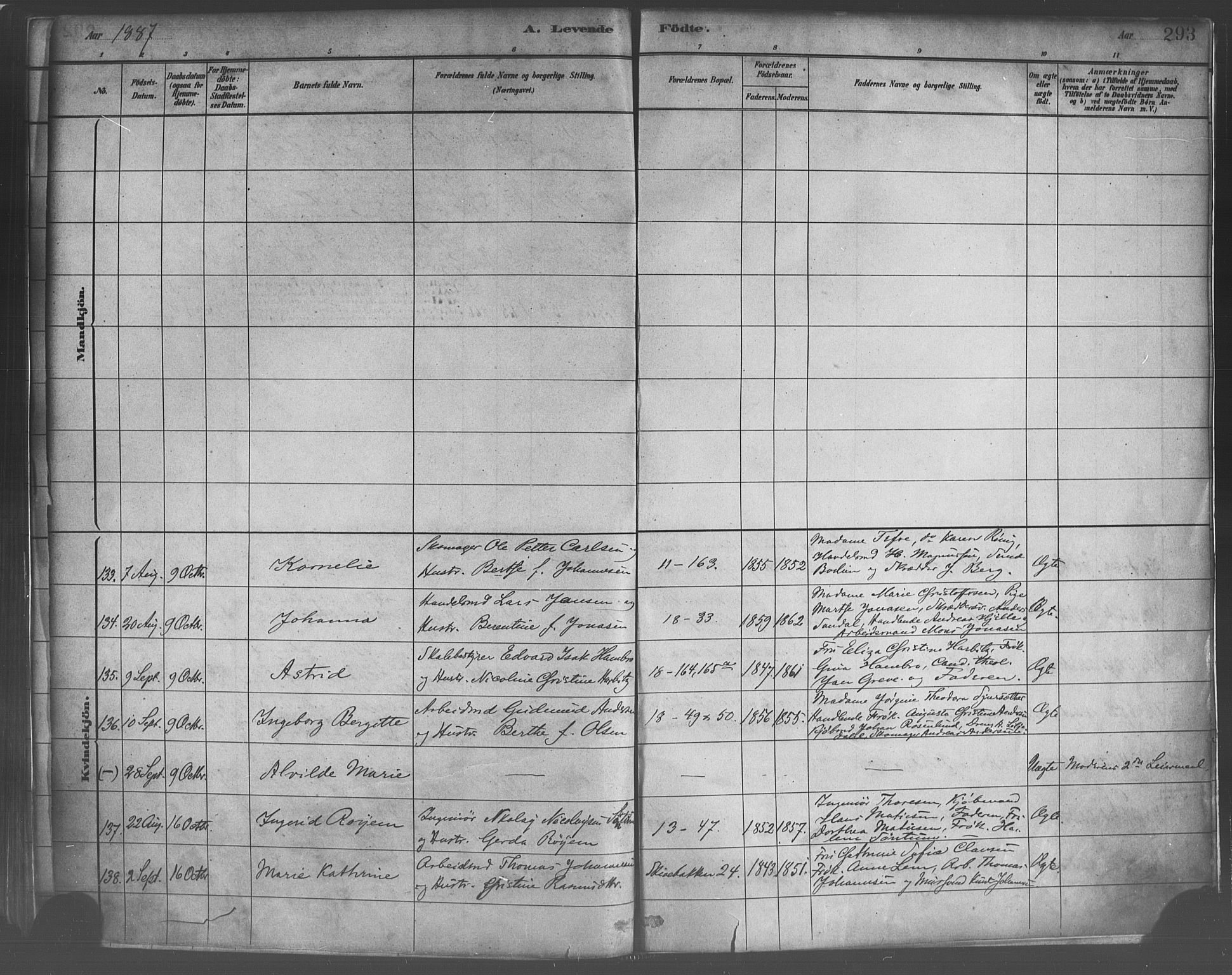 Domkirken sokneprestembete, AV/SAB-A-74801/H/Haa/L0023: Parish register (official) no. B 6, 1879-1887, p. 293