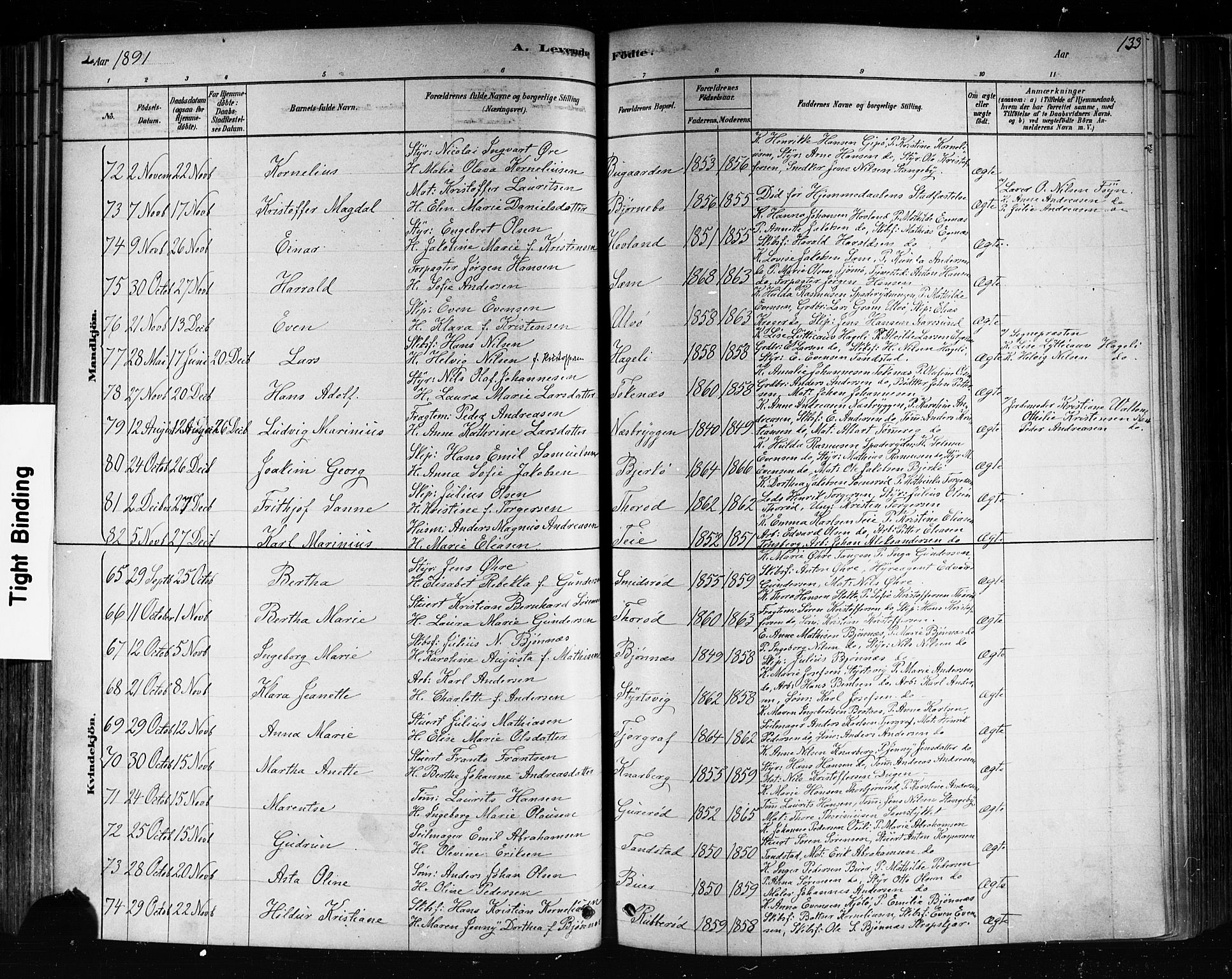 Nøtterøy kirkebøker, AV/SAKO-A-354/F/Fa/L0008: Parish register (official) no. I 8, 1878-1893, p. 133