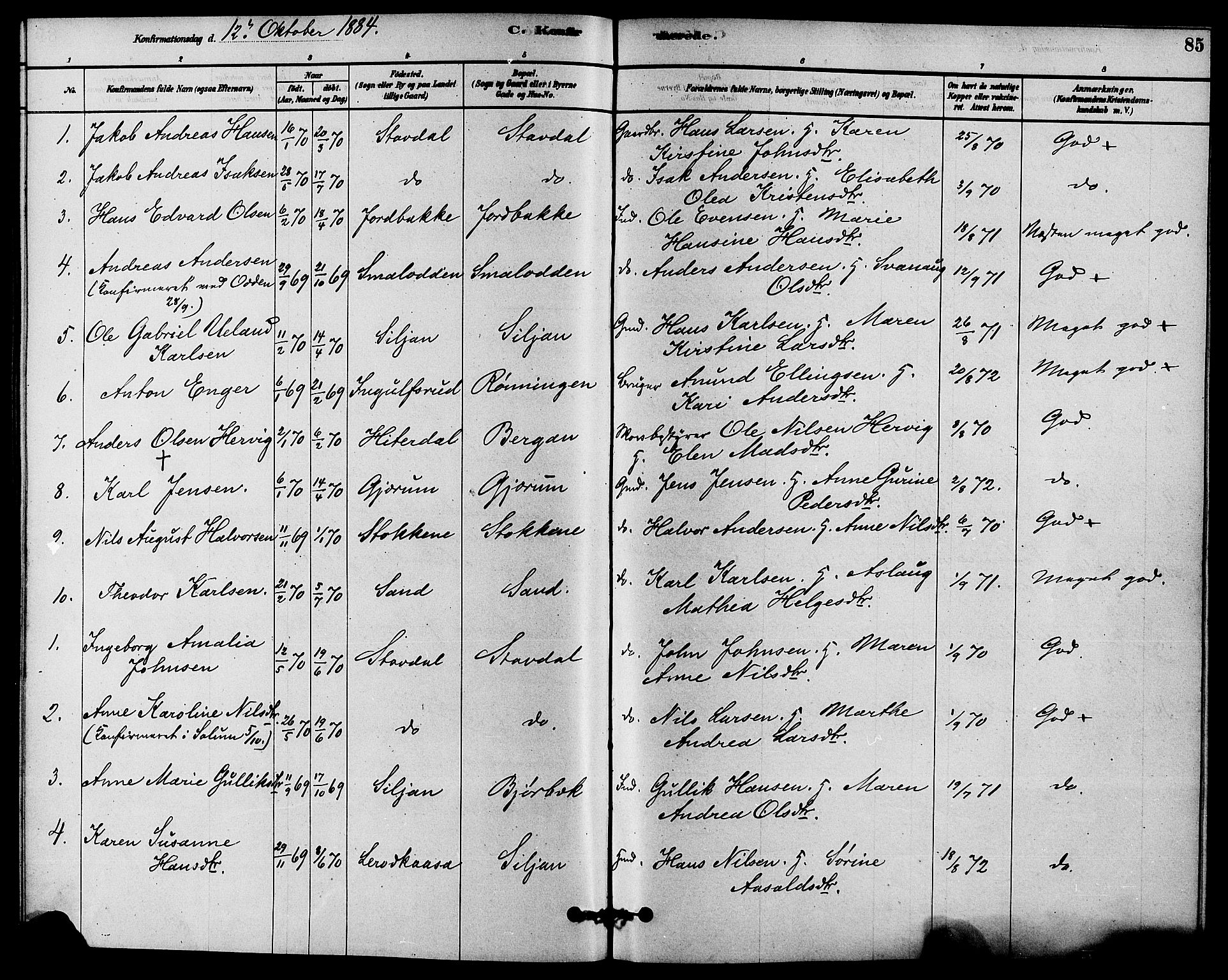 Solum kirkebøker, SAKO/A-306/F/Fb/L0001: Parish register (official) no. II 1, 1877-1892, p. 85