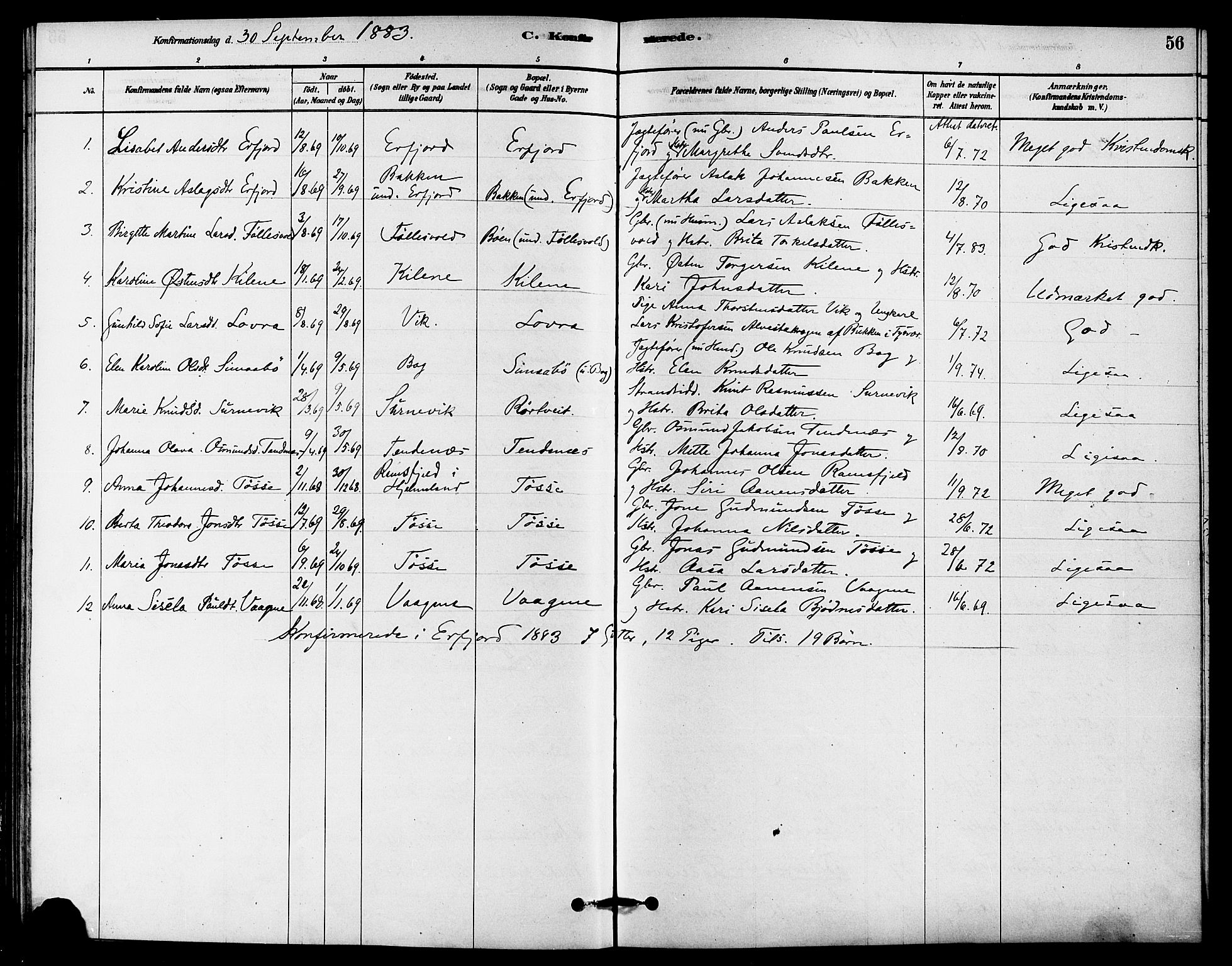 Jelsa sokneprestkontor, AV/SAST-A-101842/01/IV: Parish register (official) no. A 9, 1878-1898, p. 56