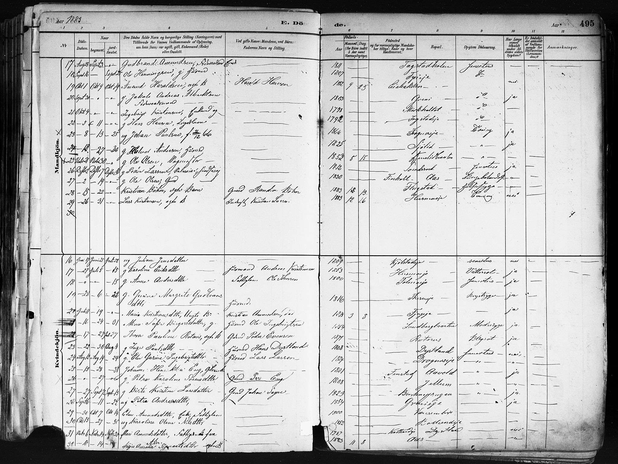 Nes prestekontor Kirkebøker, AV/SAO-A-10410/F/Fa/L0010: Parish register (official) no. I 10, 1883-1898, p. 495