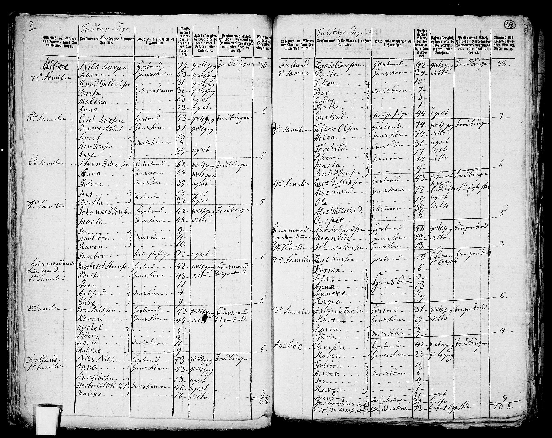 RA, 1801 census for 1213P Fjelberg, 1801, p. 42b-43a