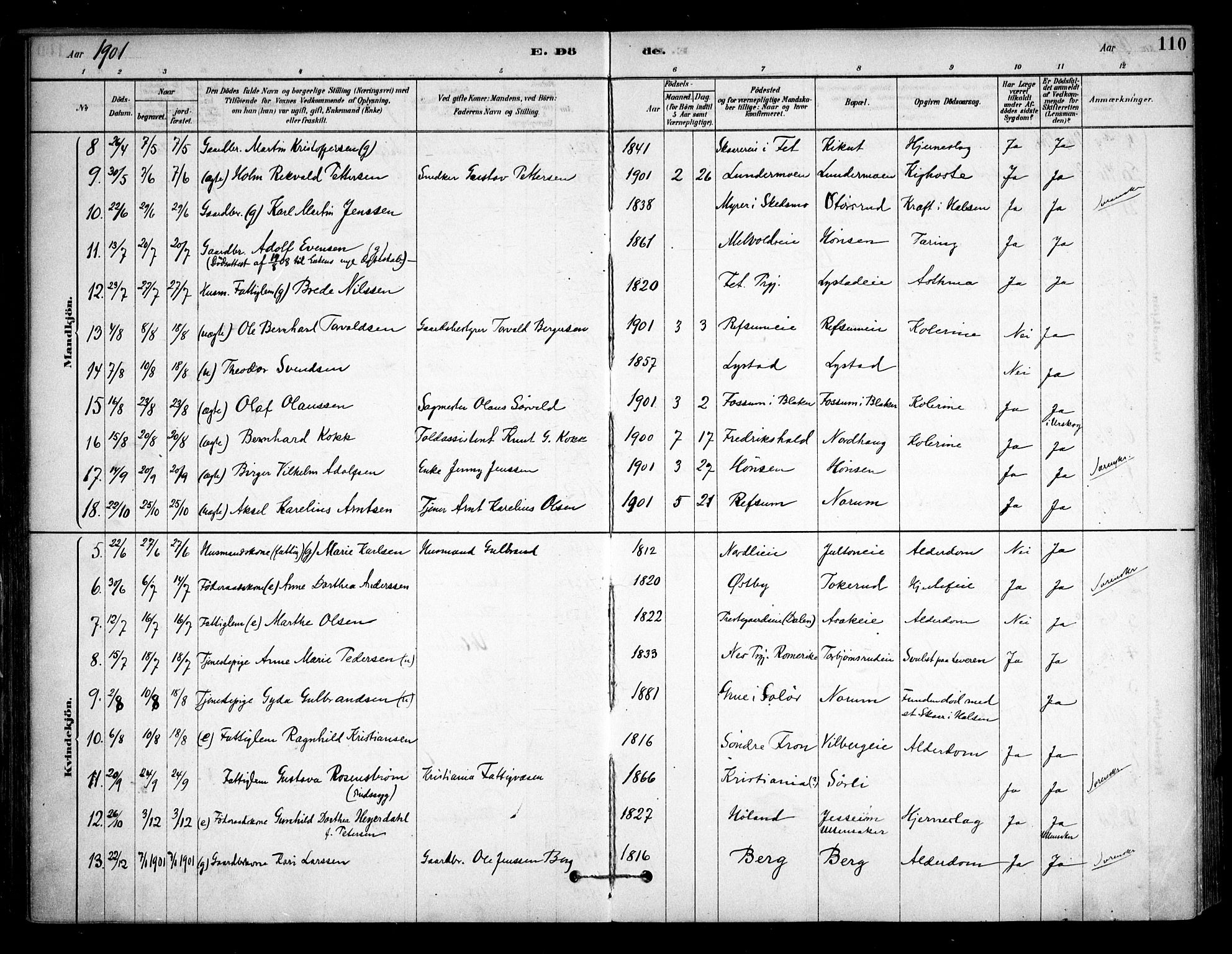 Sørum prestekontor Kirkebøker, SAO/A-10303/F/Fa/L0008: Parish register (official) no. I 8, 1878-1914, p. 110