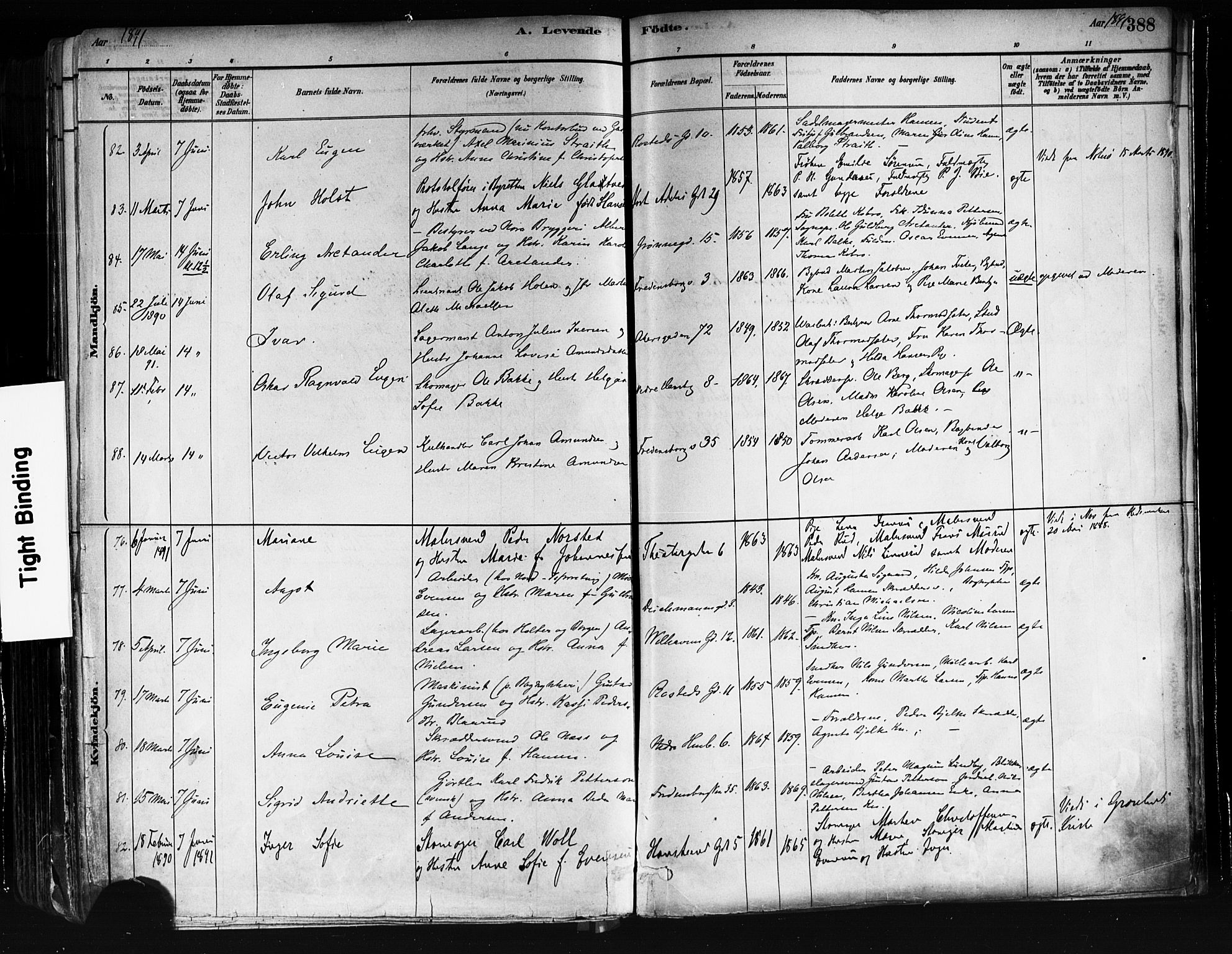 Trefoldighet prestekontor Kirkebøker, AV/SAO-A-10882/F/Fa/L0005: Parish register (official) no. I 5, 1881-1891, p. 388