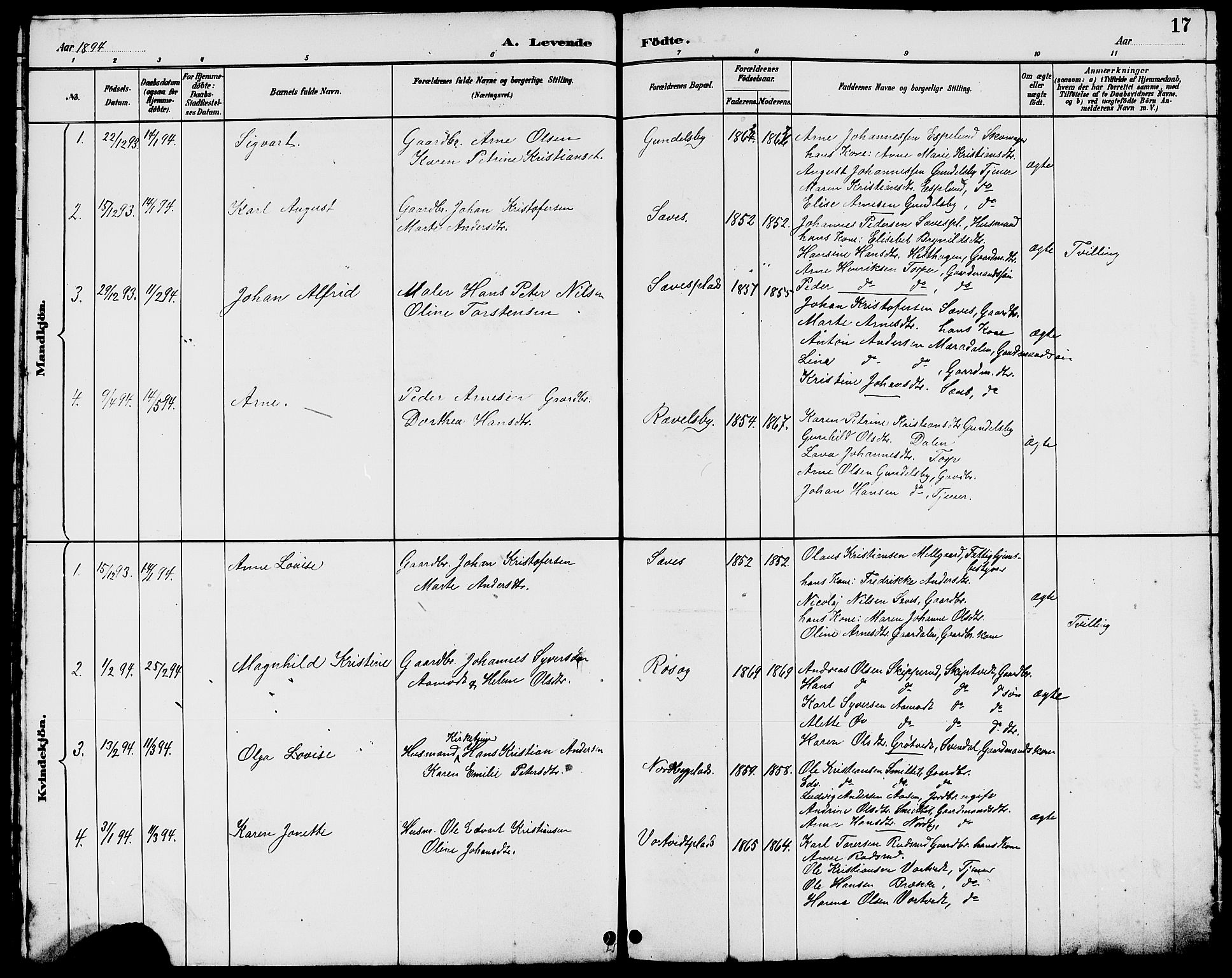 Rakkestad prestekontor Kirkebøker, AV/SAO-A-2008/G/Gc/L0001: Parish register (copy) no. III 1, 1887-1908, p. 17