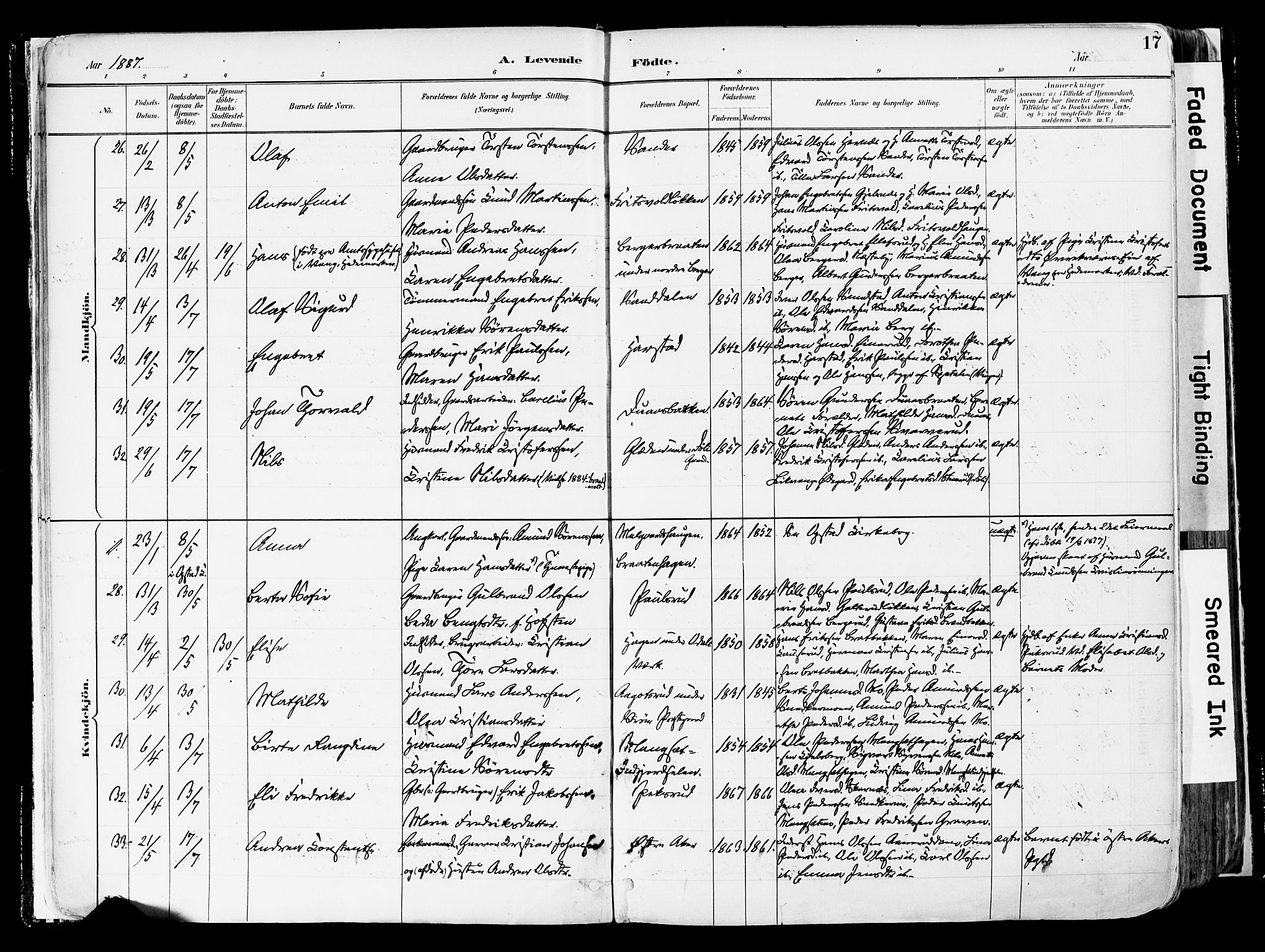 Sør-Odal prestekontor, AV/SAH-PREST-030/H/Ha/Haa/L0006: Parish register (official) no. 6, 1886-1931, p. 17