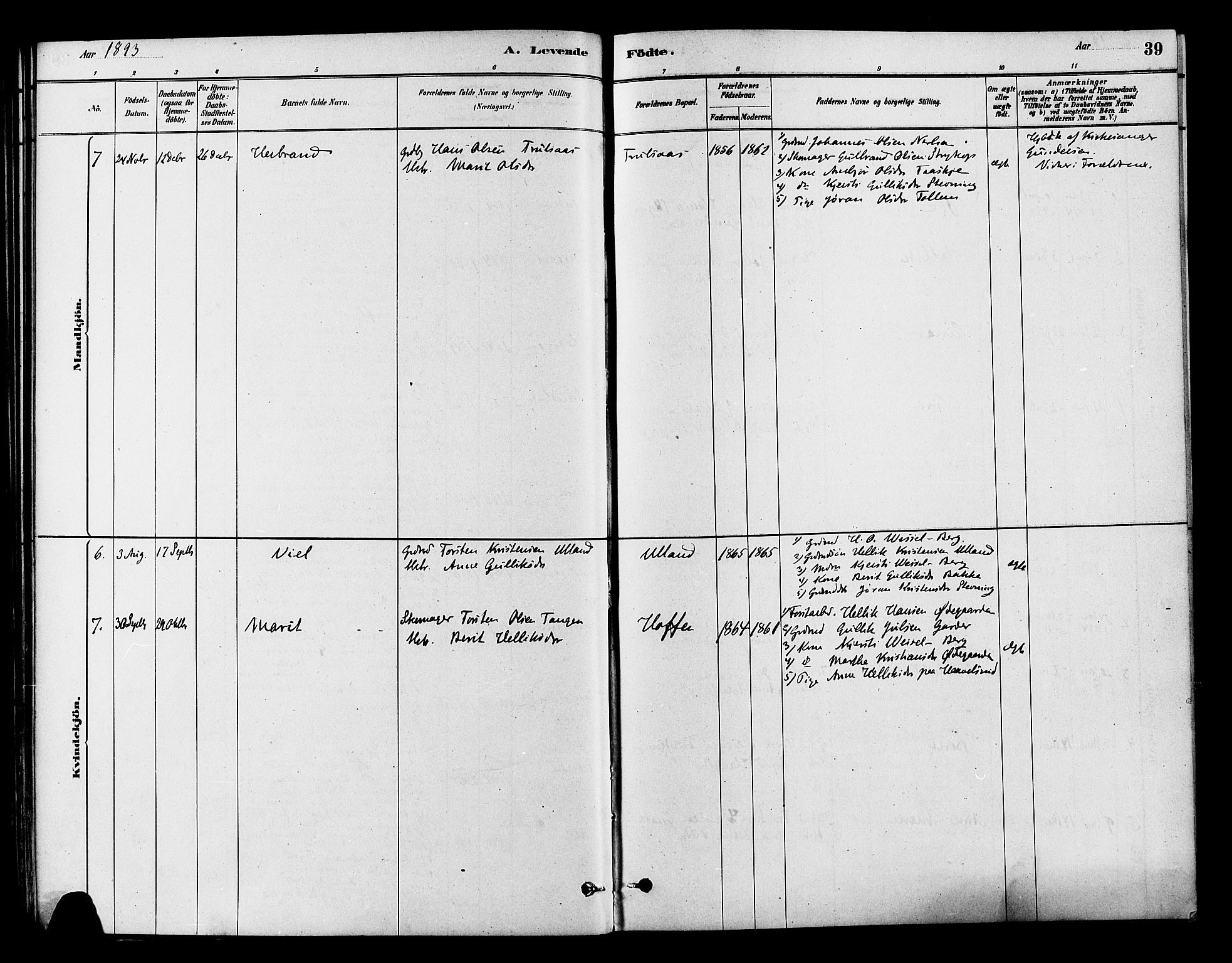 Flesberg kirkebøker, AV/SAKO-A-18/F/Fb/L0001: Parish register (official) no. II 1, 1879-1907, p. 39