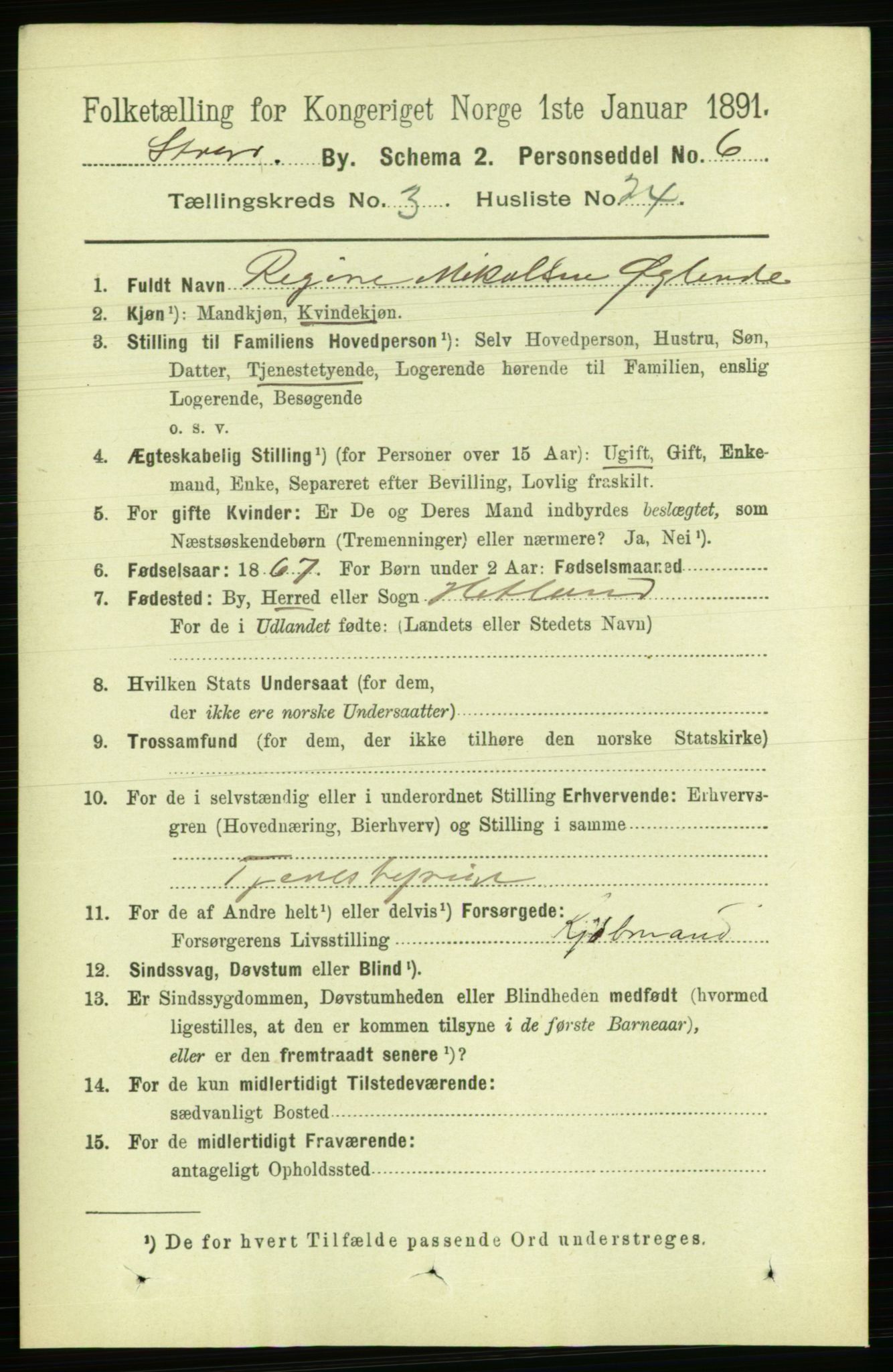 RA, 1891 census for 1103 Stavanger, 1891, p. 7055