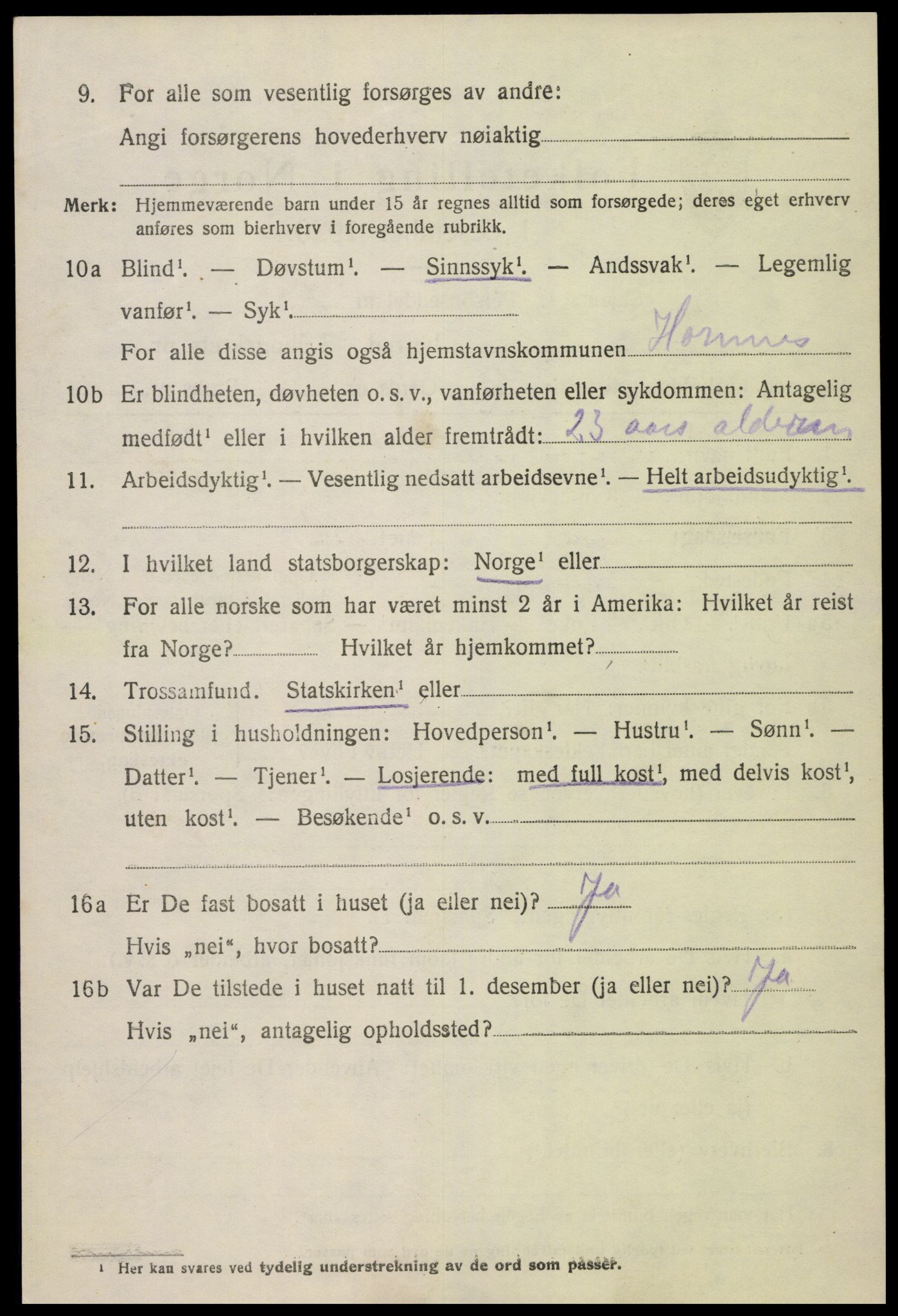 SAK, 1920 census for Hornnes, 1920, p. 958