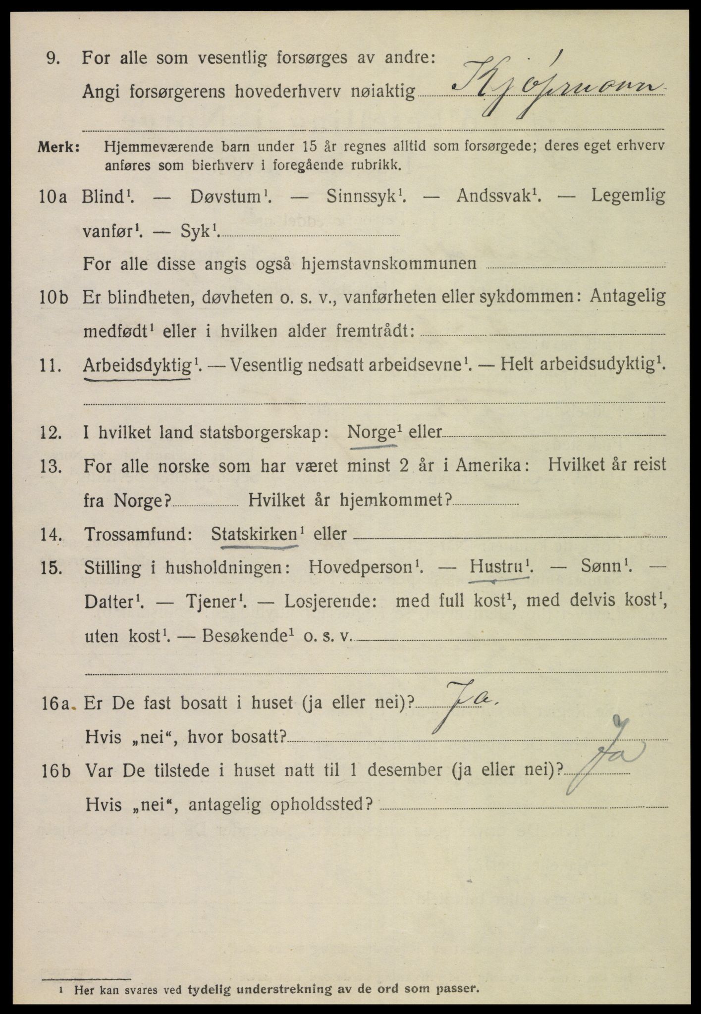 SAT, 1920 census for Steinkjer, 1920, p. 4225