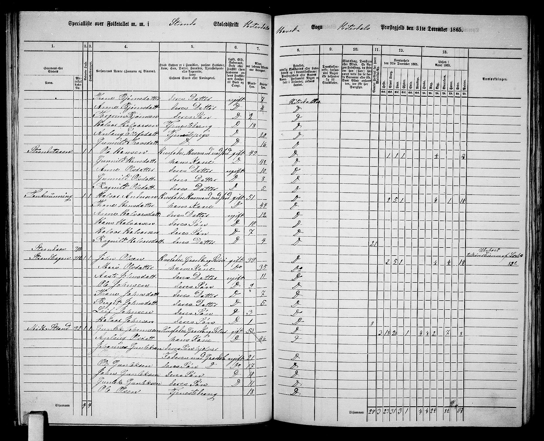 RA, 1865 census for Heddal, 1865, p. 89