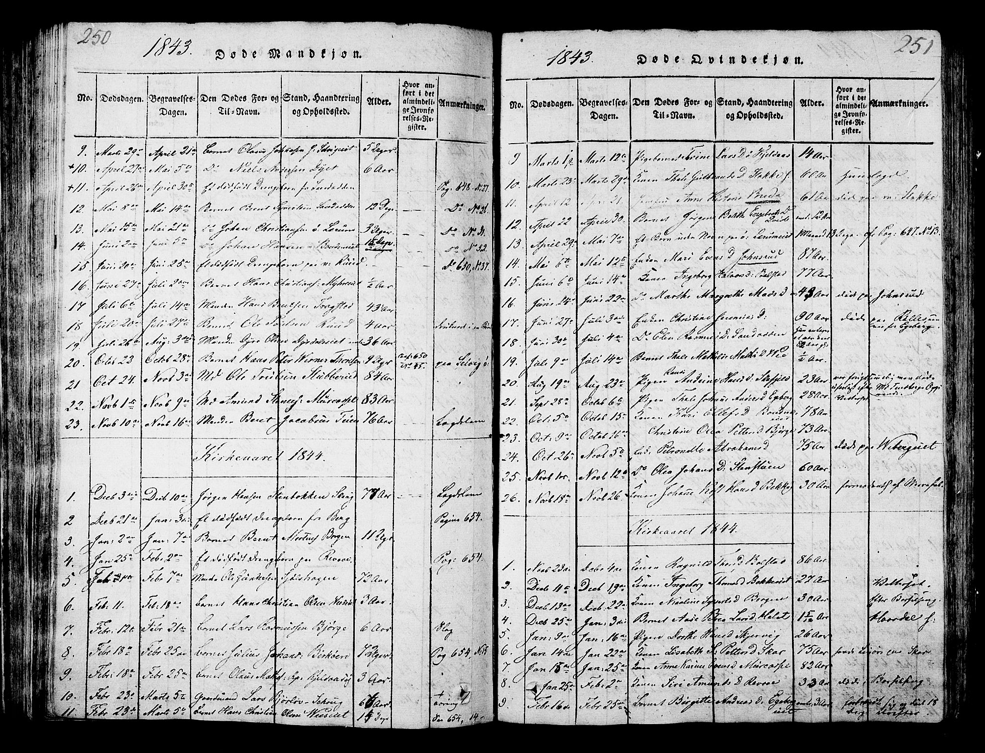 Sande Kirkebøker, SAKO/A-53/G/Ga/L0001: Parish register (copy) no. 1, 1814-1847, p. 250-251