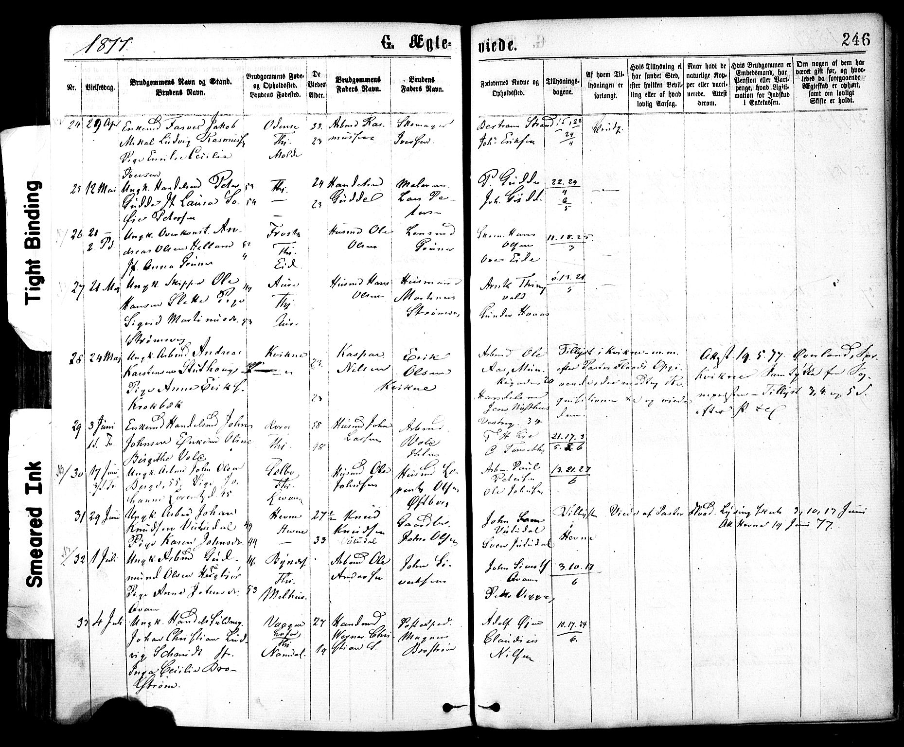 Ministerialprotokoller, klokkerbøker og fødselsregistre - Sør-Trøndelag, AV/SAT-A-1456/602/L0118: Parish register (official) no. 602A16, 1873-1879, p. 246