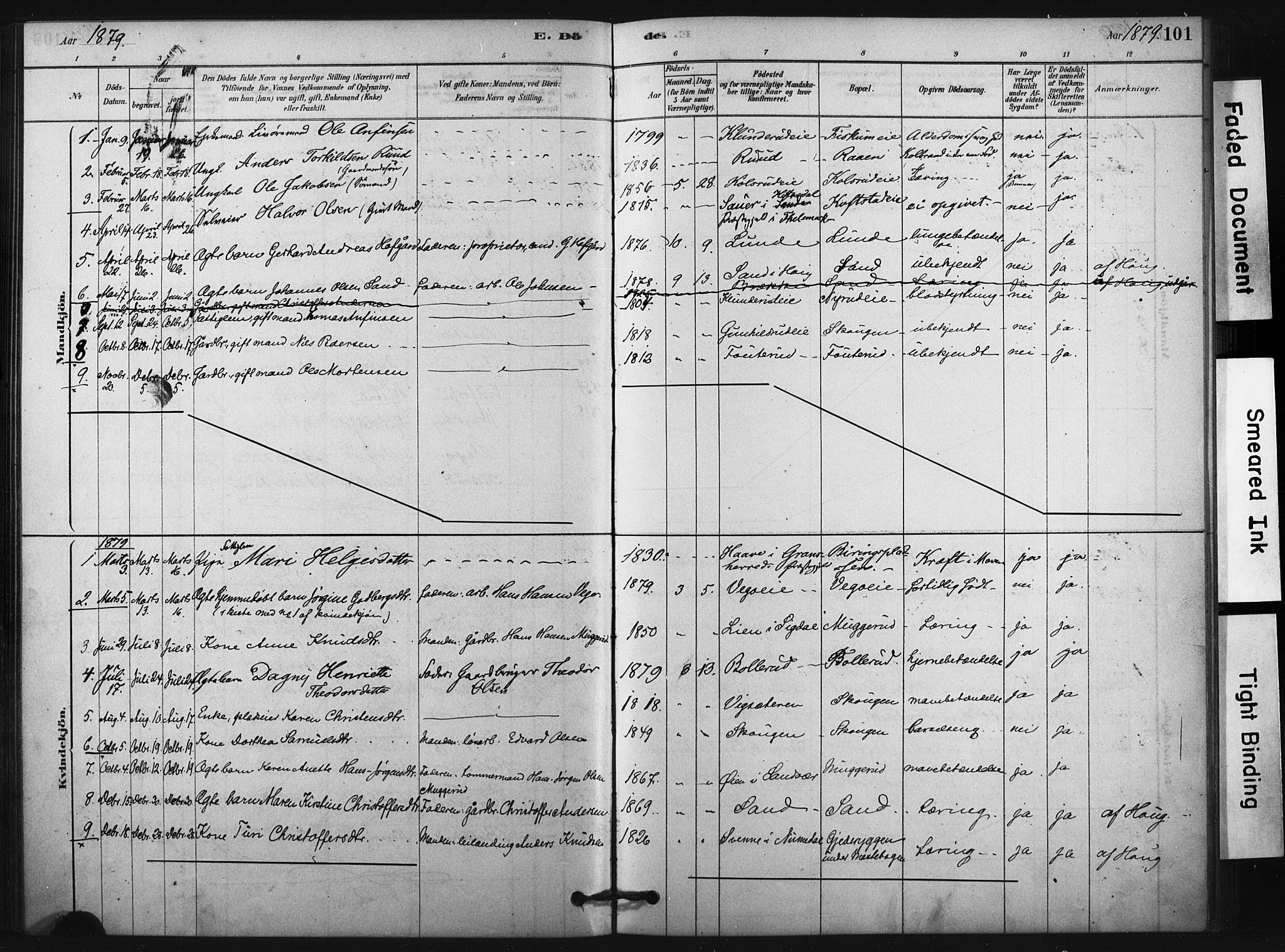 Fiskum kirkebøker, SAKO/A-15/F/Fa/L0002: Parish register (official) no. 2, 1878-1890, p. 101