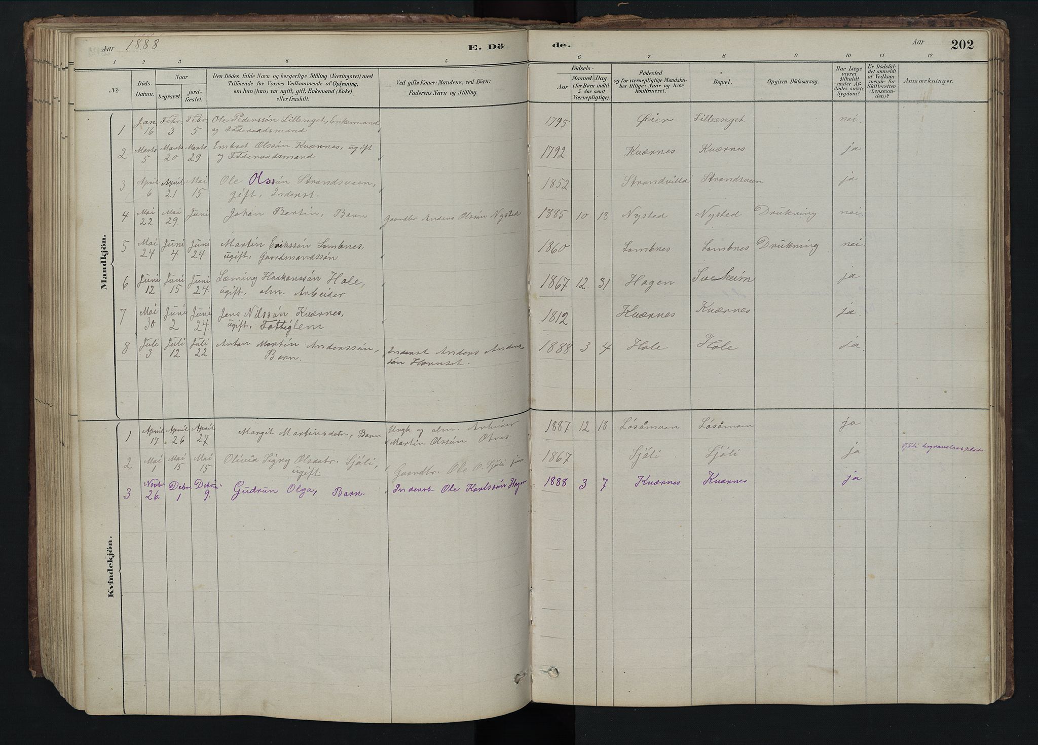 Rendalen prestekontor, SAH/PREST-054/H/Ha/Hab/L0009: Parish register (copy) no. 9, 1879-1902, p. 202
