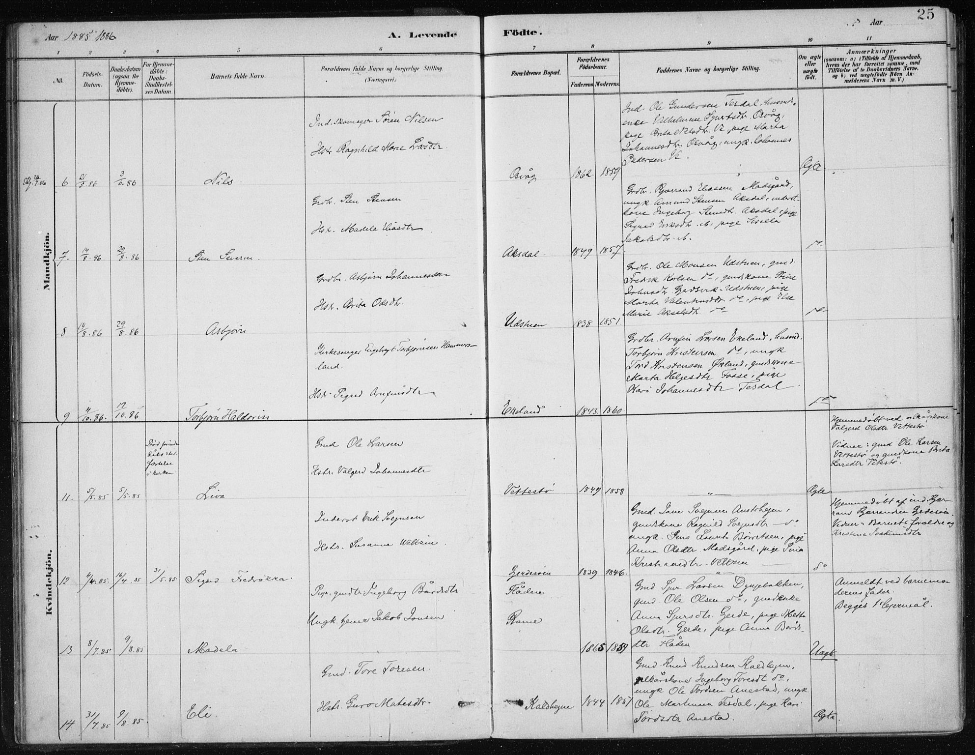 Etne sokneprestembete, AV/SAB-A-75001/H/Haa: Parish register (official) no. C  1, 1879-1919, p. 25