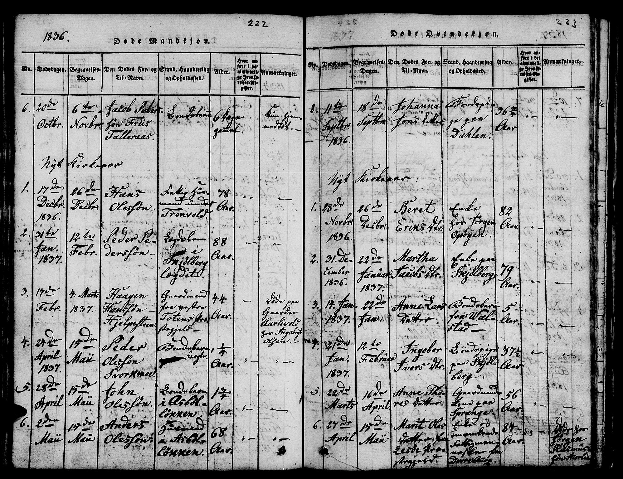 Ministerialprotokoller, klokkerbøker og fødselsregistre - Sør-Trøndelag, AV/SAT-A-1456/671/L0842: Parish register (copy) no. 671C01, 1816-1867, p. 222-223