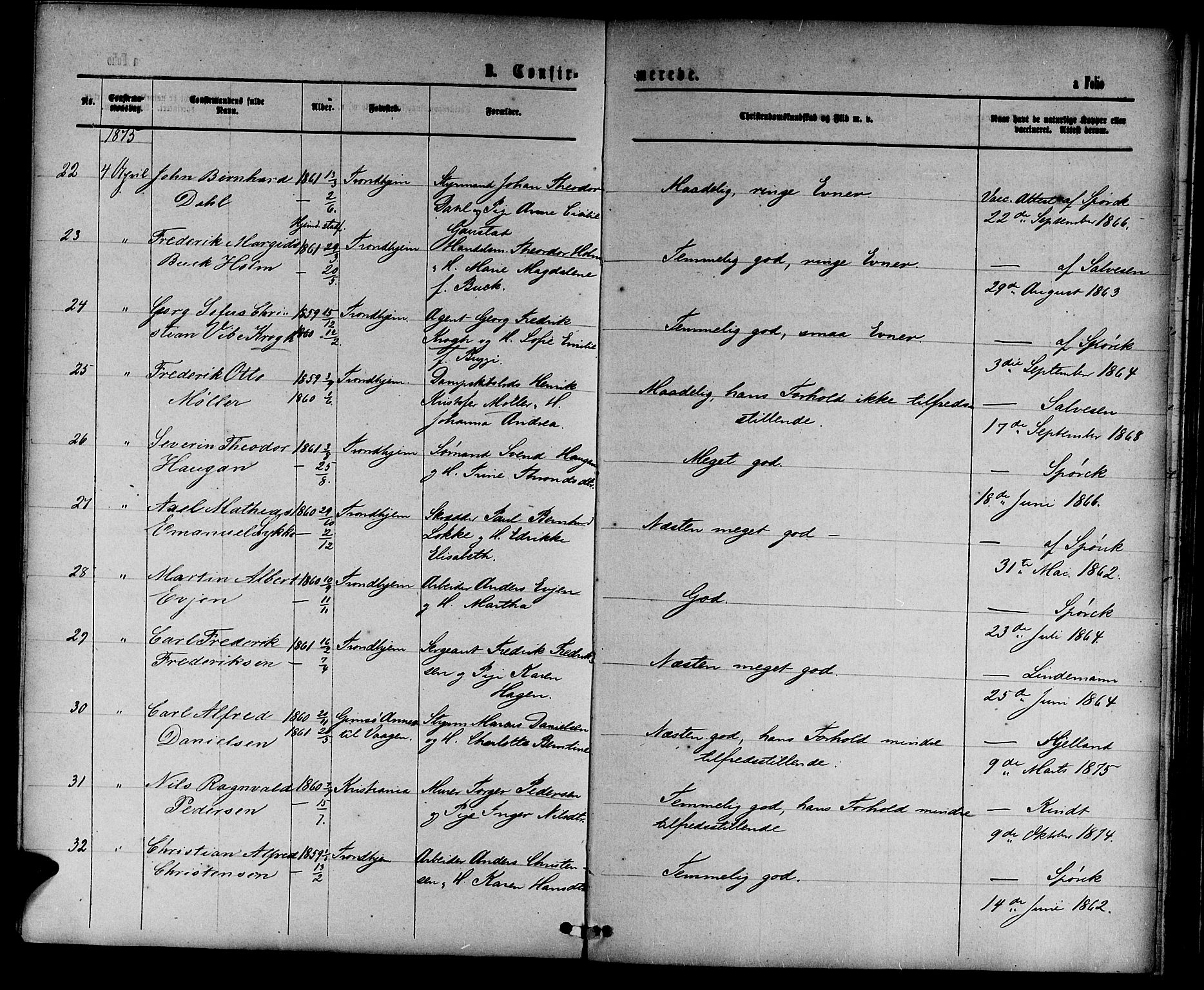 Ministerialprotokoller, klokkerbøker og fødselsregistre - Sør-Trøndelag, AV/SAT-A-1456/601/L0087: Parish register (copy) no. 601C05, 1864-1881, p. 209d