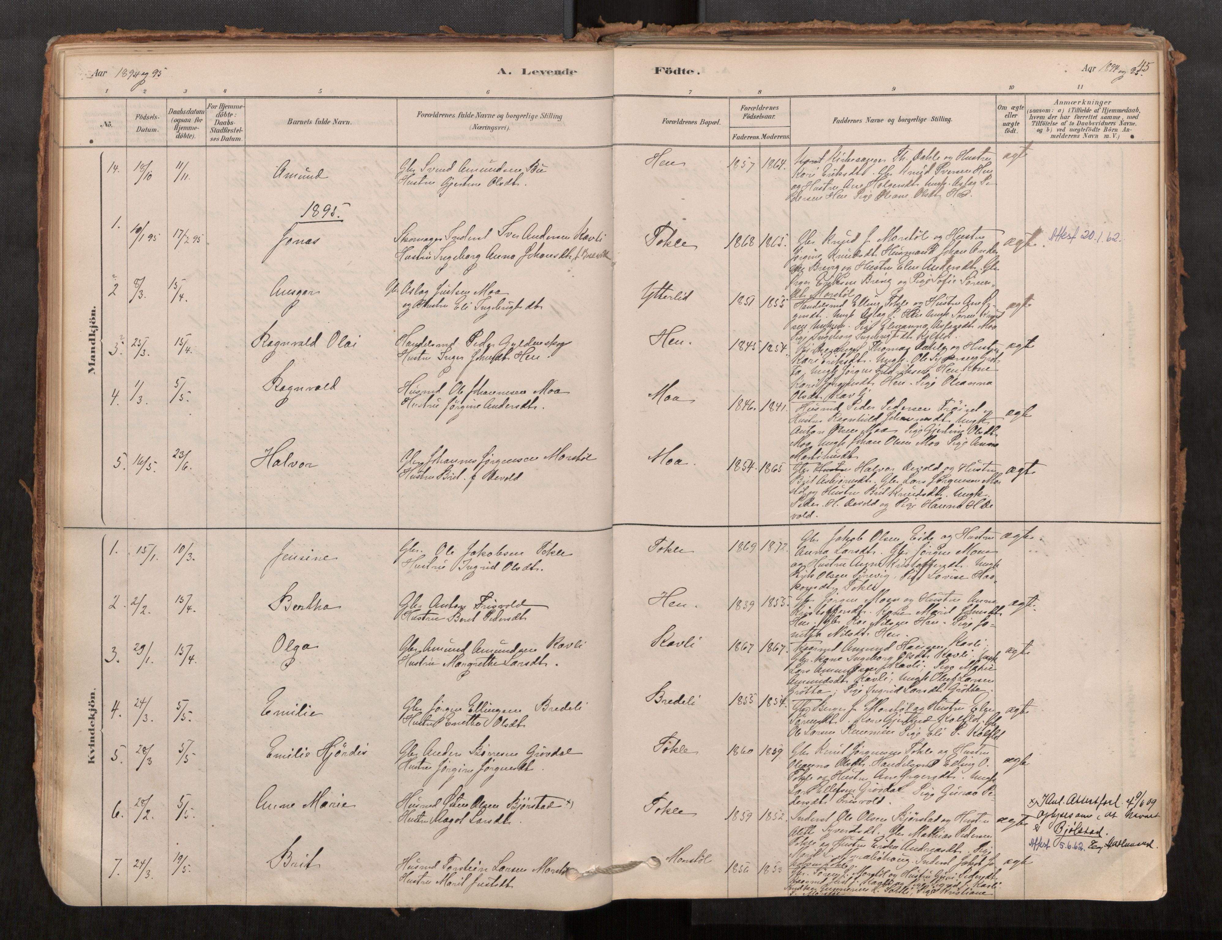 Ministerialprotokoller, klokkerbøker og fødselsregistre - Møre og Romsdal, SAT/A-1454/545/L0594: Parish register (official) no. 545A03, 1878-1920, p. 45