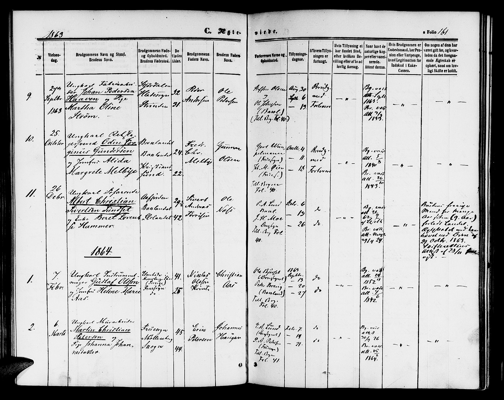 Ministerialprotokoller, klokkerbøker og fødselsregistre - Sør-Trøndelag, AV/SAT-A-1456/604/L0185: Parish register (official) no. 604A06, 1861-1865, p. 161