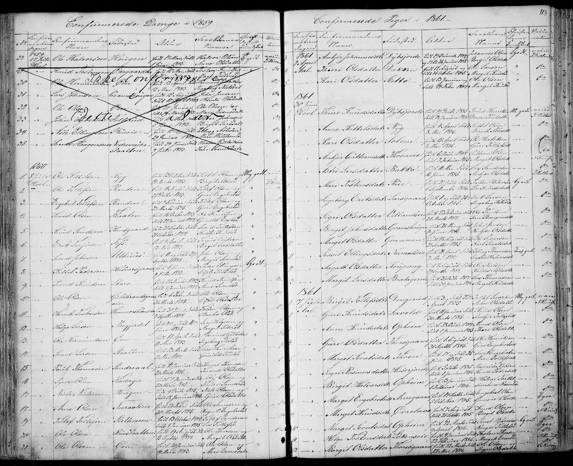 Ål kirkebøker, AV/SAKO-A-249/F/Fa/L0006: Parish register (official) no. I 6, 1849-1864, p. 113