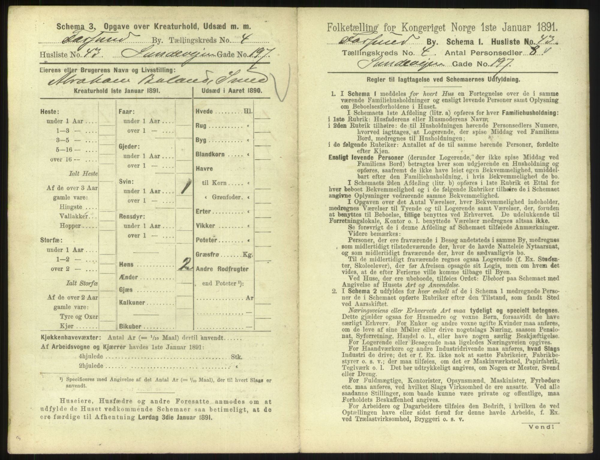 RA, 1891 census for 1003 Farsund, 1891, p. 412