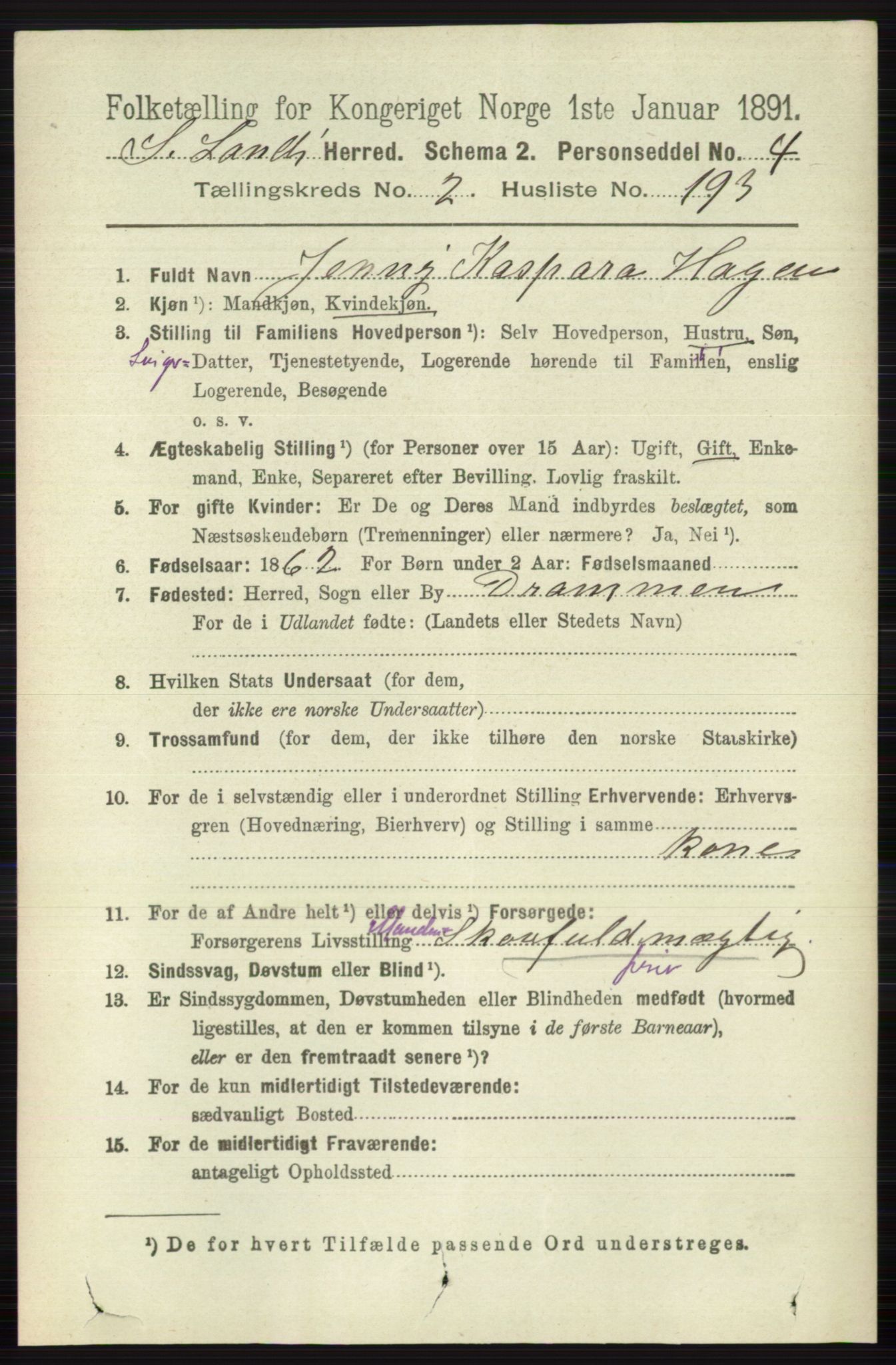 RA, 1891 census for 0536 Søndre Land, 1891, p. 2256