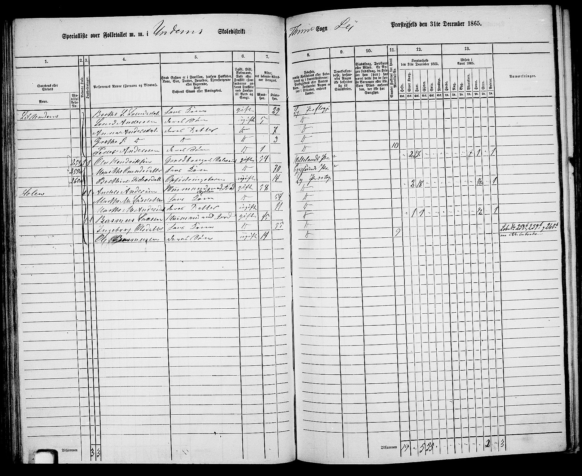 RA, 1865 census for Lye, 1865, p. 70