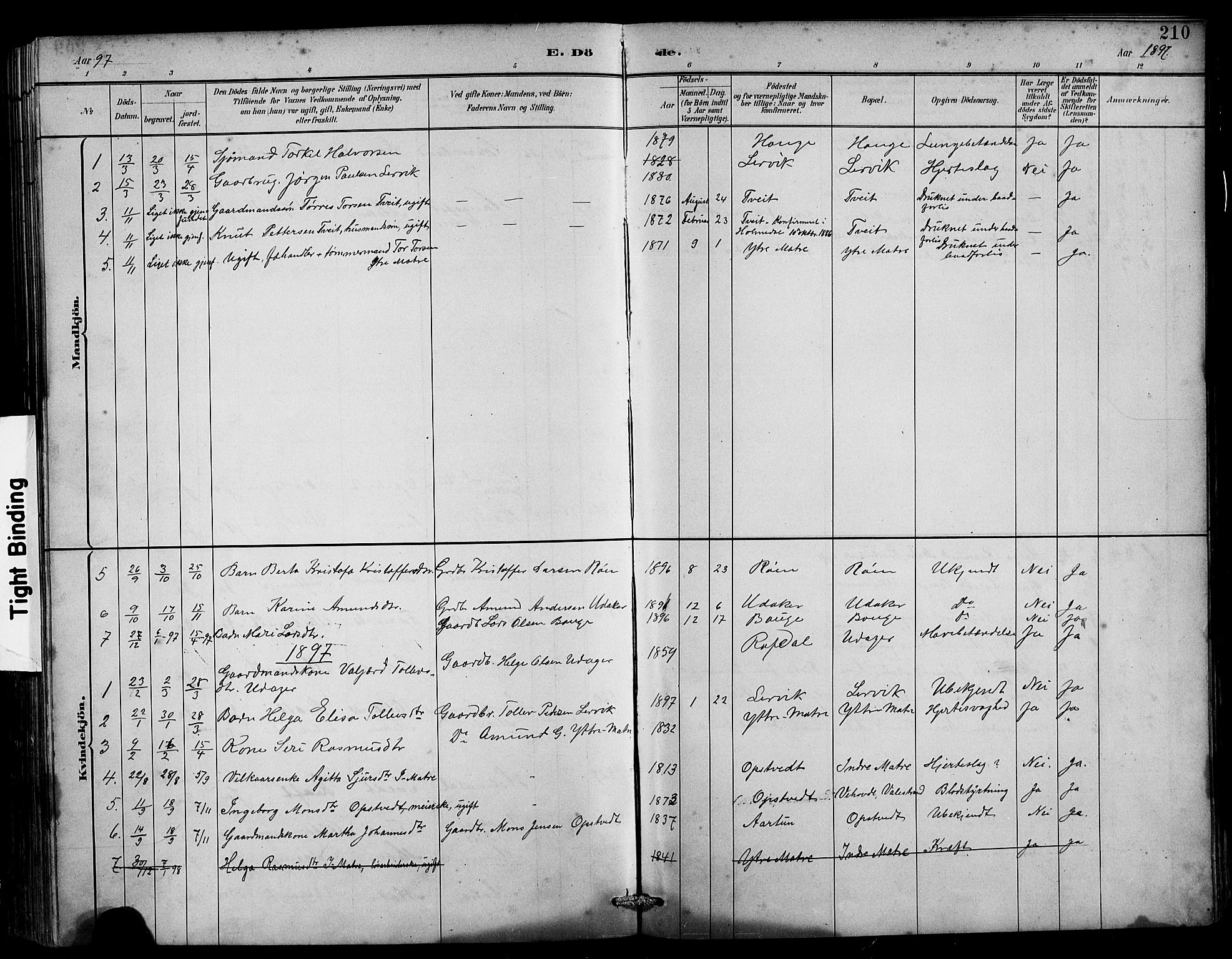 Husnes Sokneprestembete, SAB/A-75901/H/Hab: Parish register (copy) no. B 2, 1884-1914, p. 210