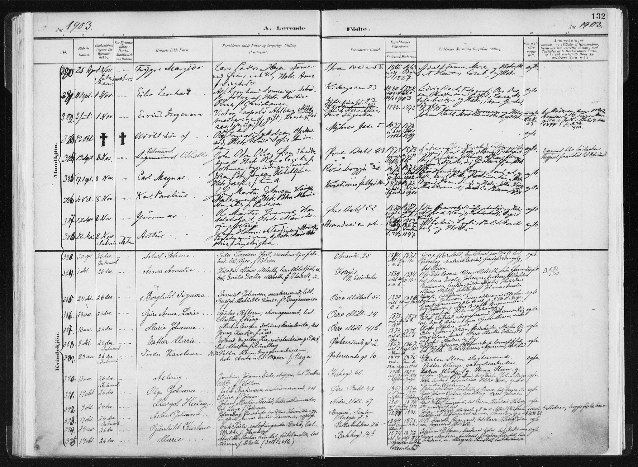 Ministerialprotokoller, klokkerbøker og fødselsregistre - Sør-Trøndelag, SAT/A-1456/604/L0199: Parish register (official) no. 604A20I, 1901-1906, p. 132