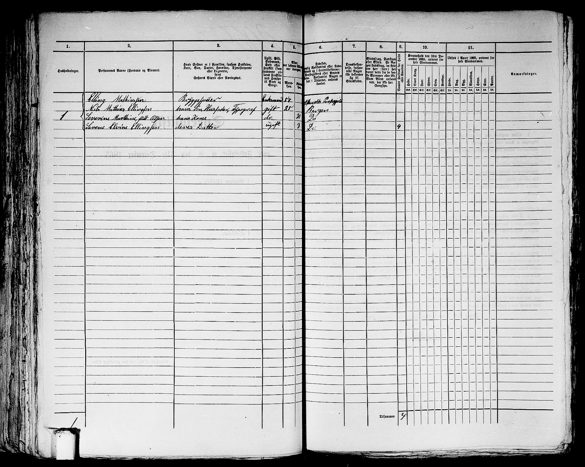 RA, 1865 census for Bergen, 1865, p. 4211