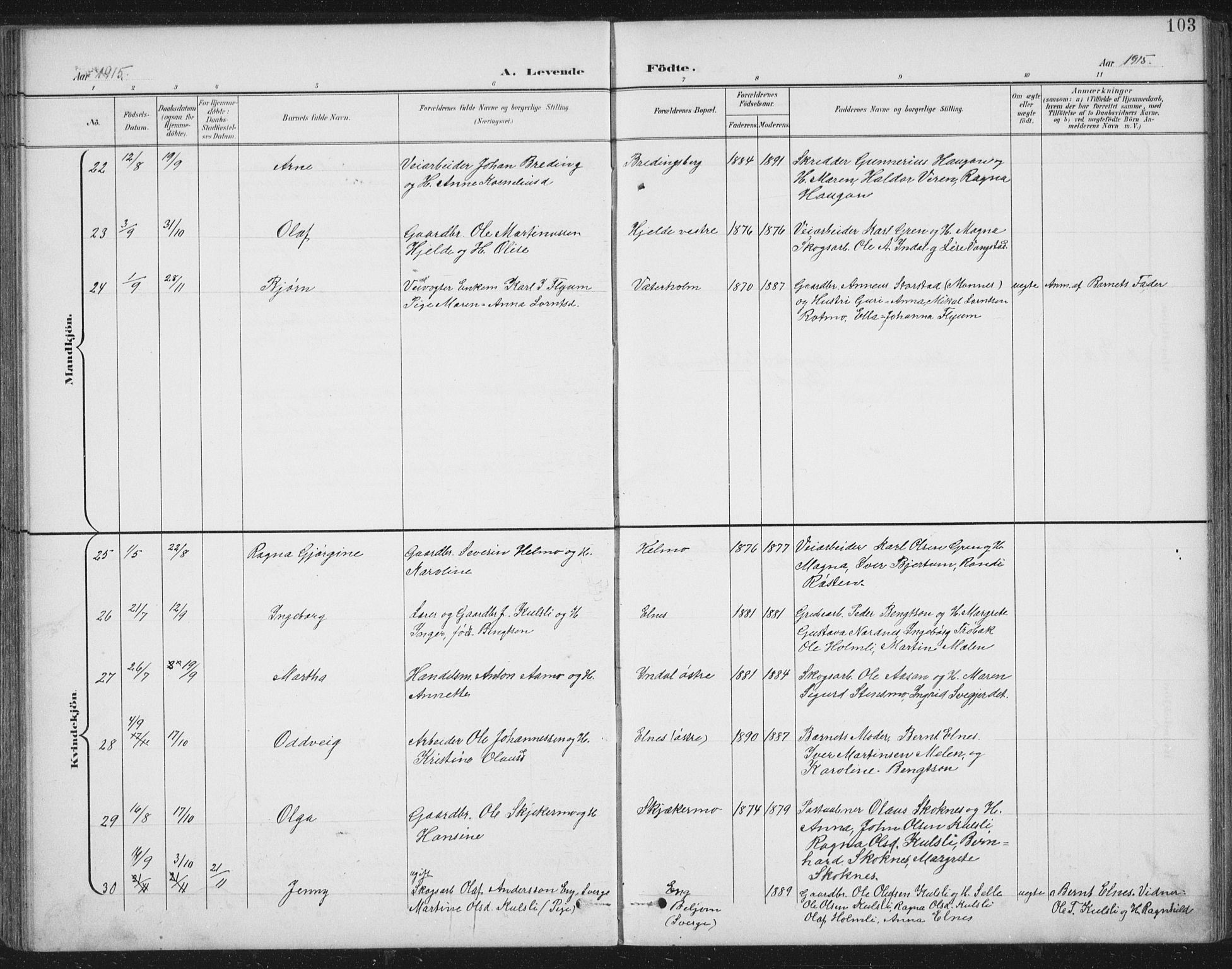 Ministerialprotokoller, klokkerbøker og fødselsregistre - Nord-Trøndelag, AV/SAT-A-1458/724/L0269: Parish register (copy) no. 724C05, 1899-1920, p. 103