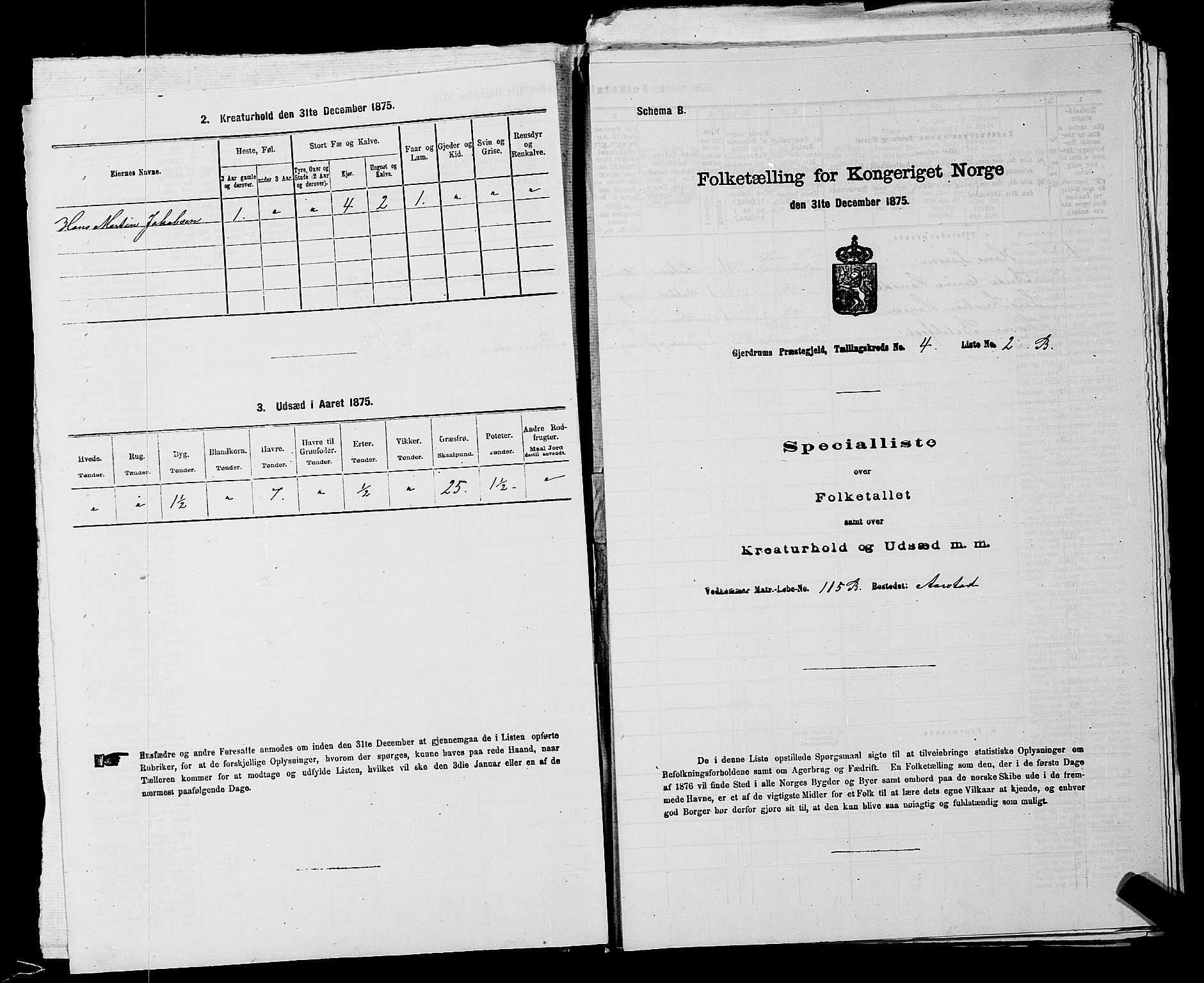 RA, 1875 census for 0234P Gjerdrum, 1875, p. 623